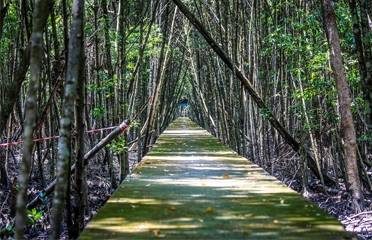 Kuala Selangor Nature Park Tourism Selangor