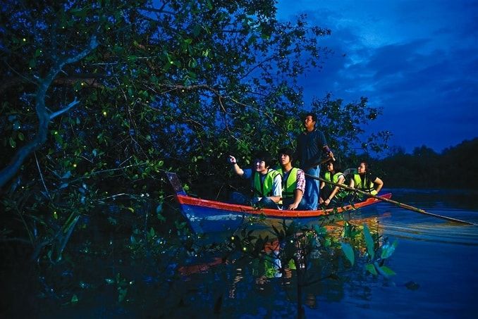 A DAY IN SELANGOR, LET’S VISIT KUALA SELANGOR 10 A DAY IN SELANGOR, LET’S VISIT KUALA SELANGOR 10
