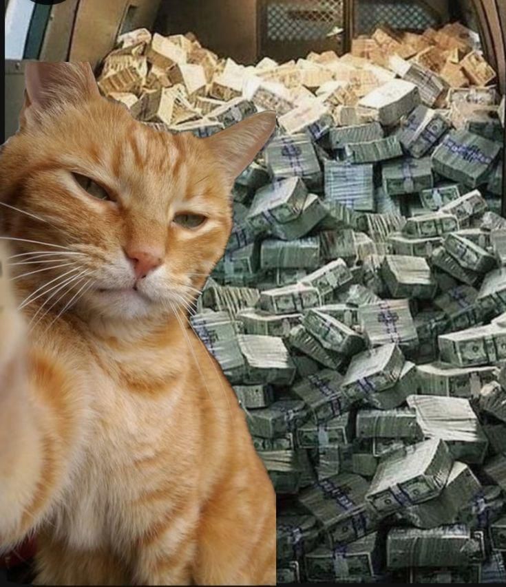 88CEPAT : Link Slot Online Terpercaya Di Indonesia