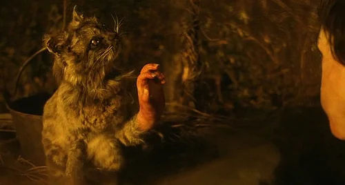 The Cat with Hands