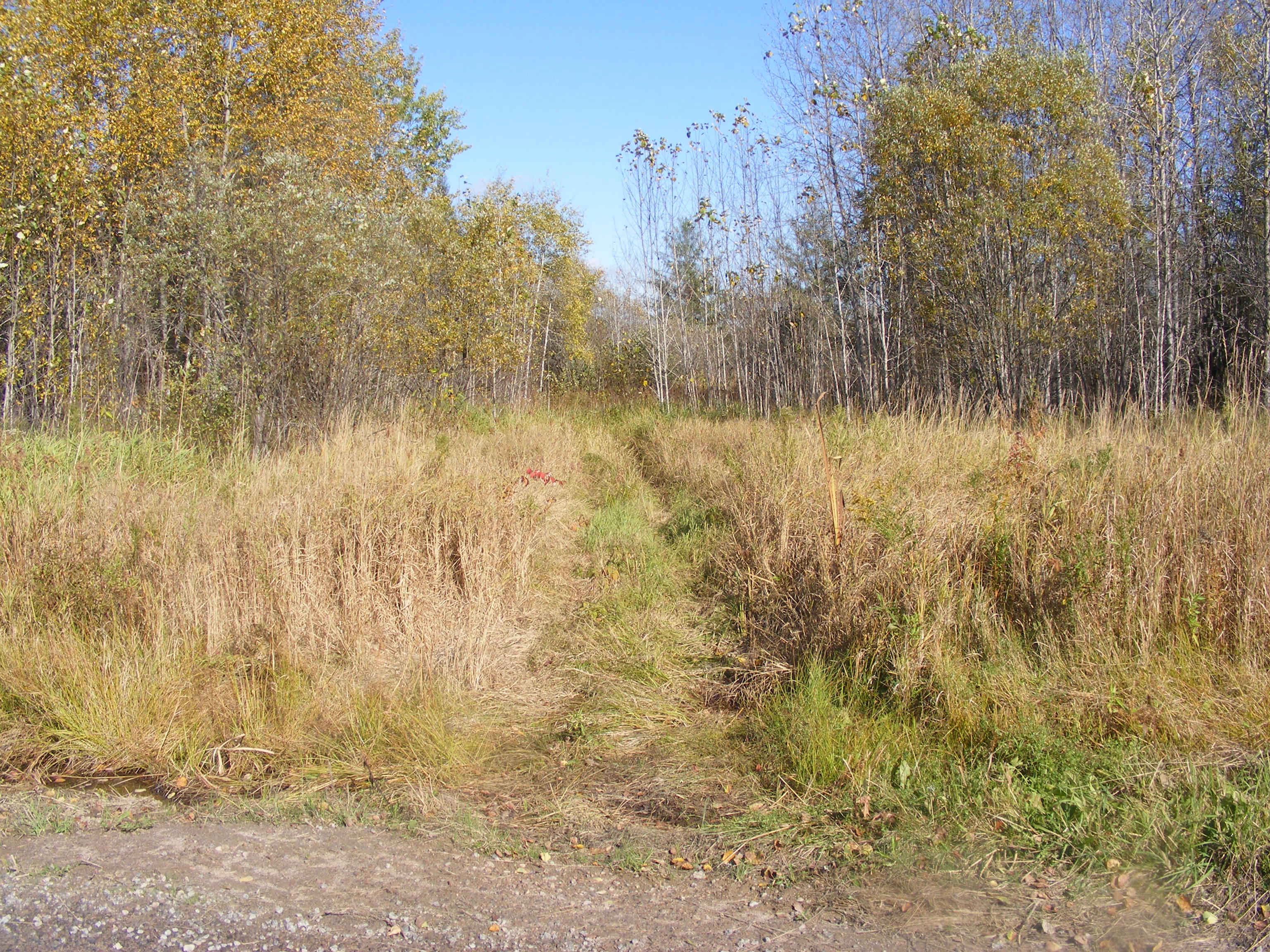 16 acres