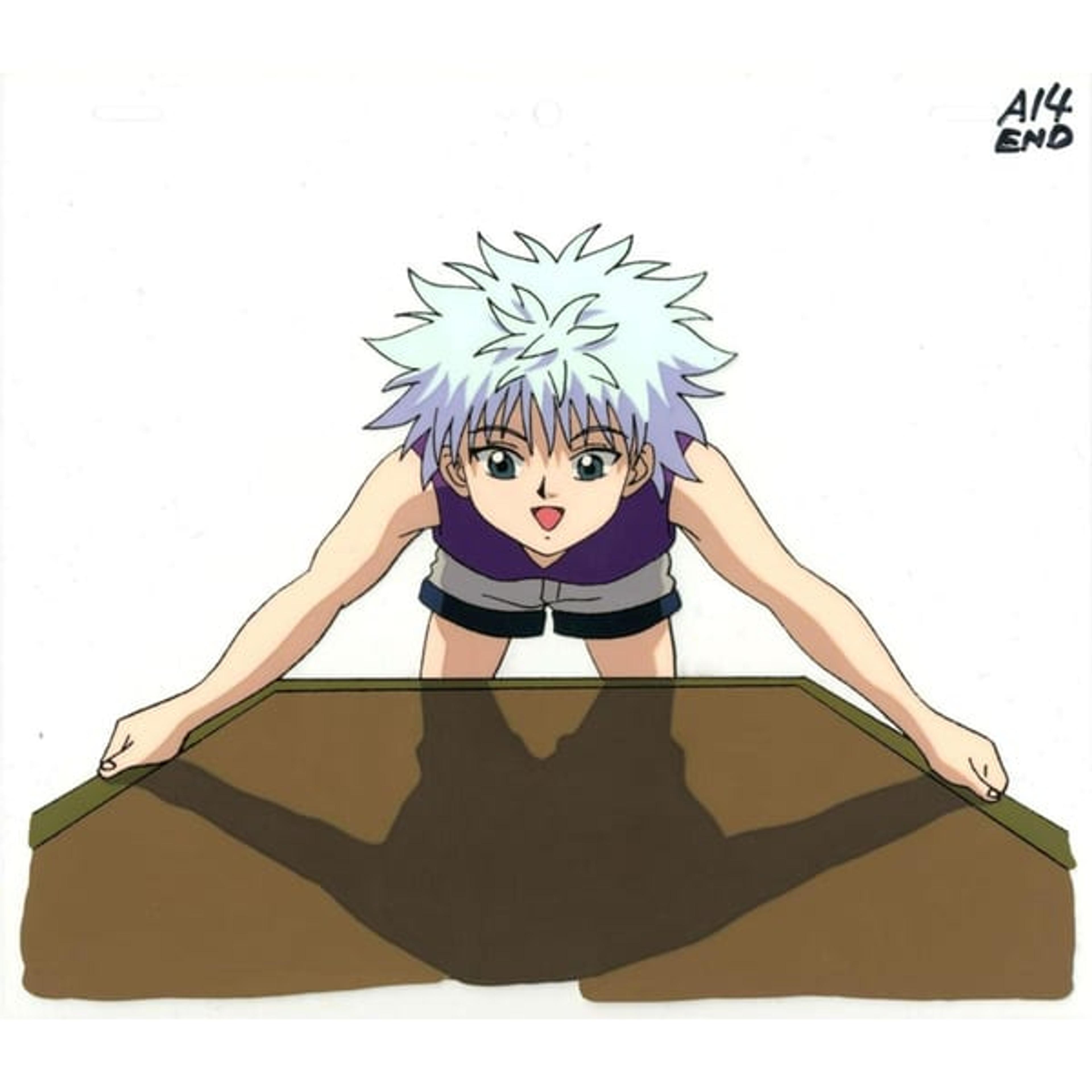 Hunter x Hunter