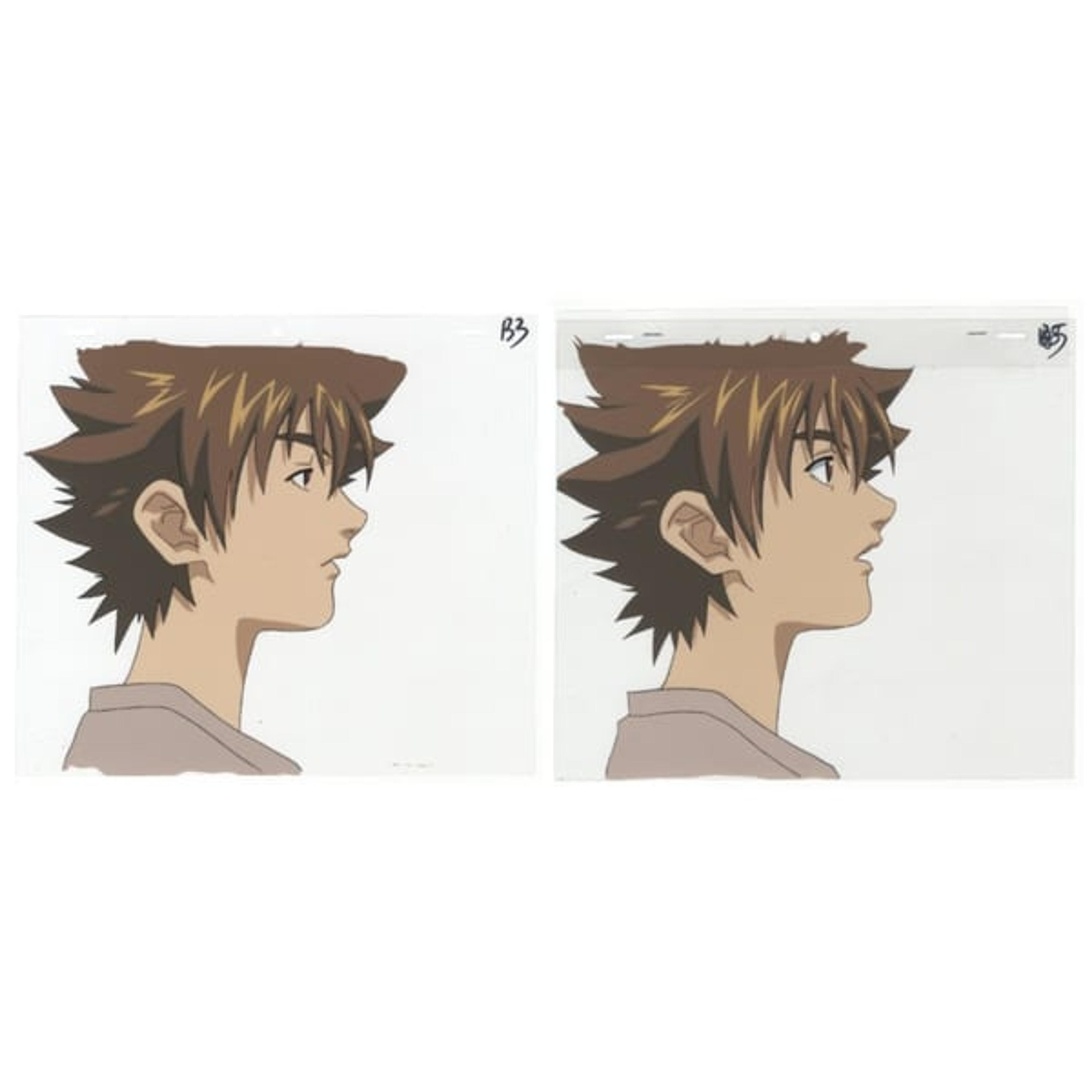 Original Street Fighter Alpha: The Animation Cel (Set of 2)
