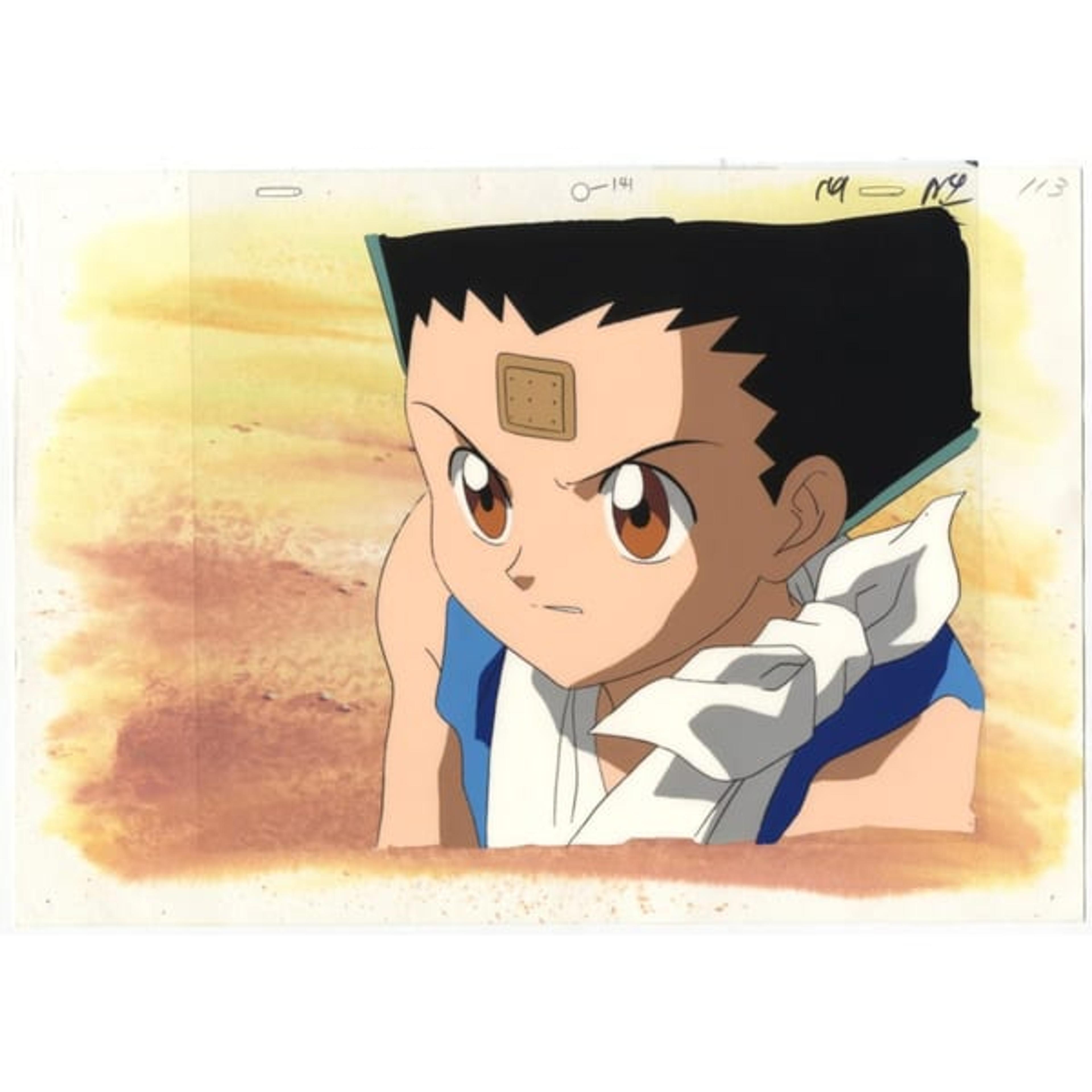 Hunter x Hunter