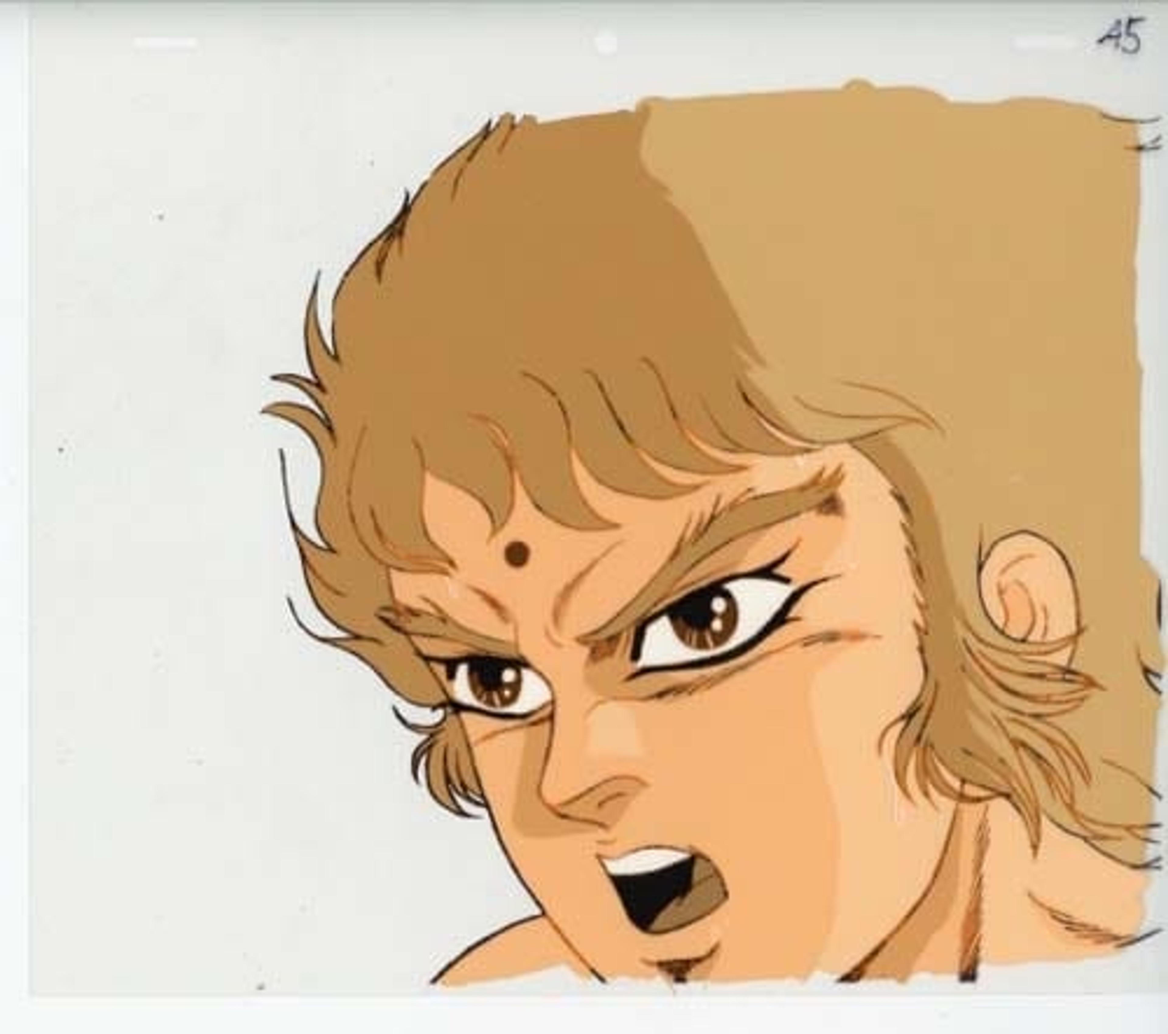 Fist of the North Star