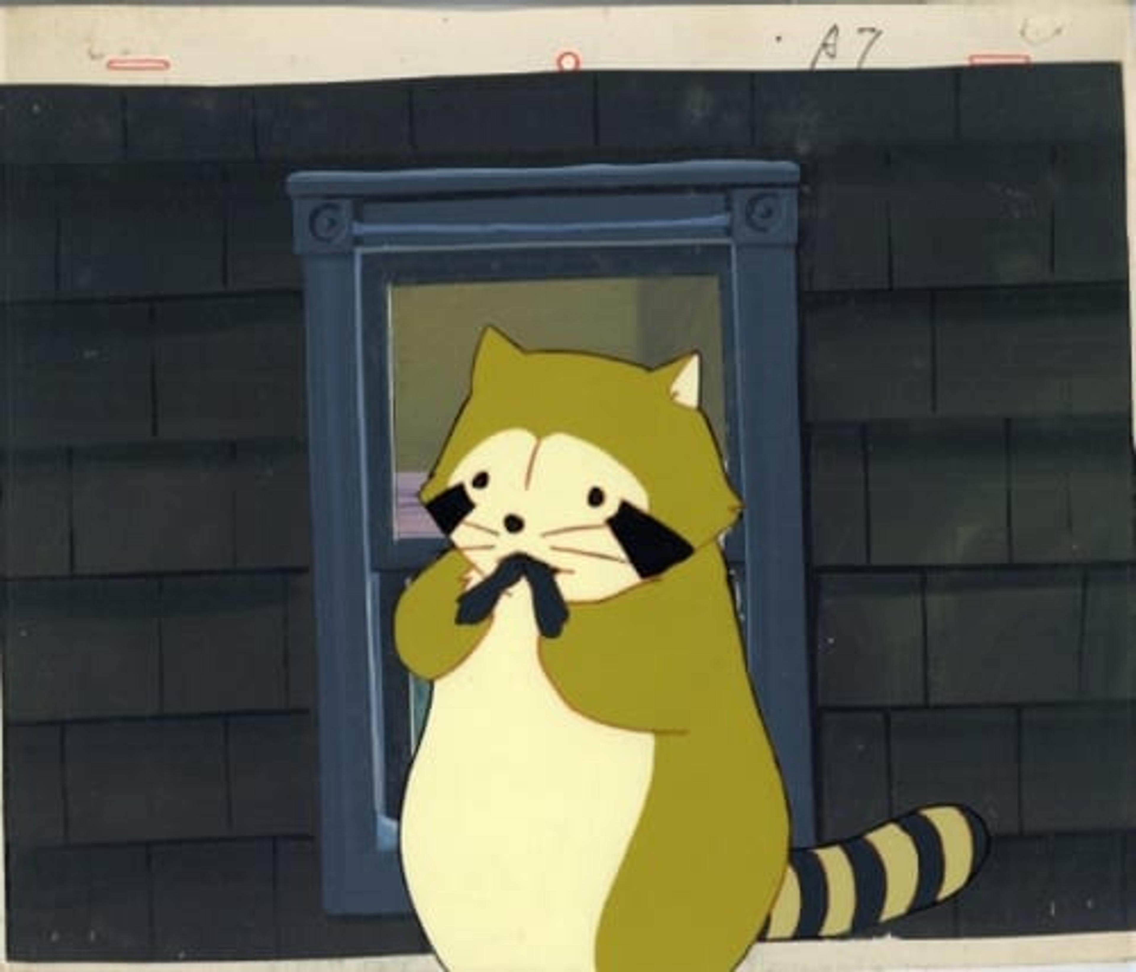 Raccoon Rascal