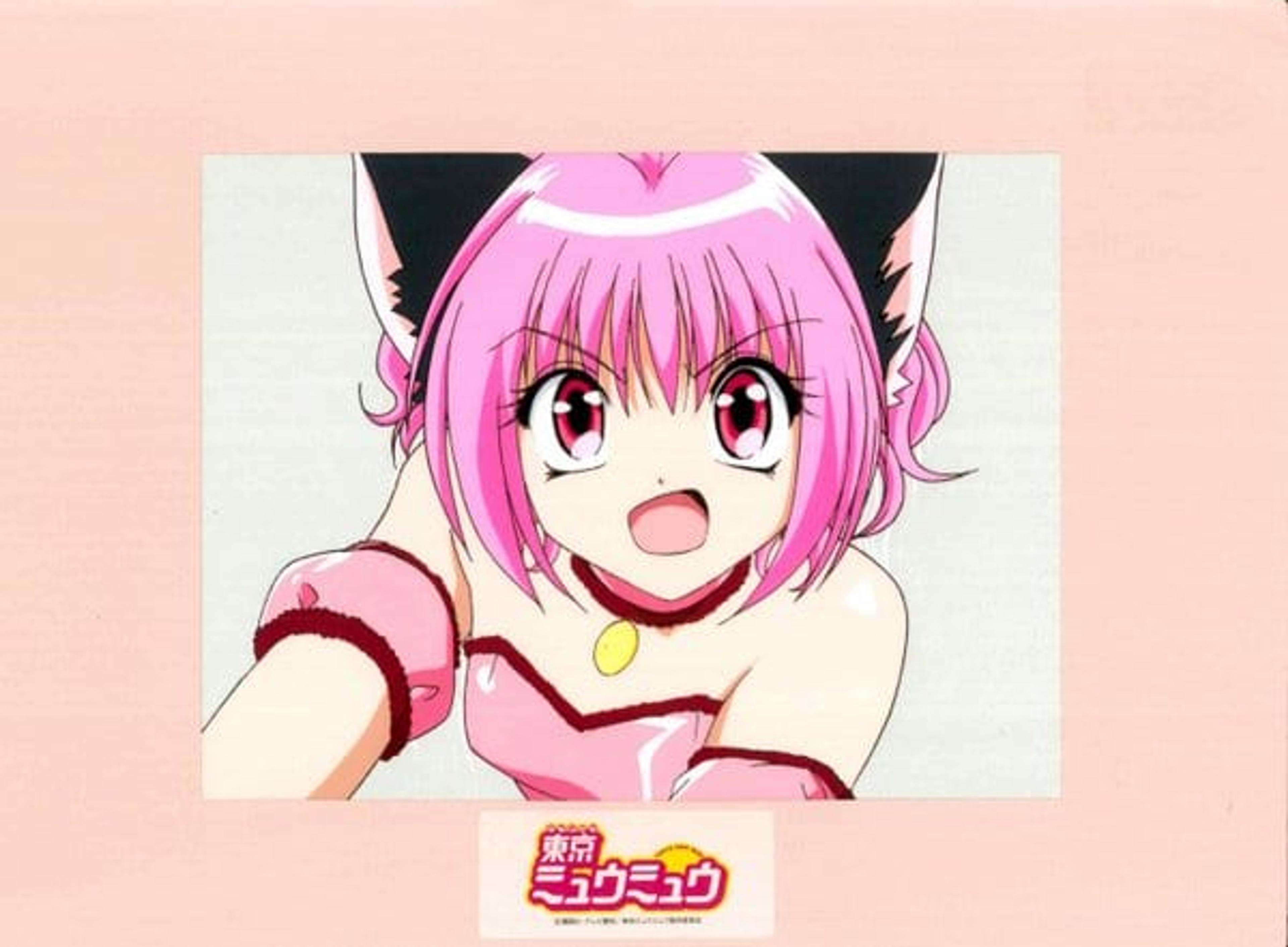 Tokyo Mew Mew