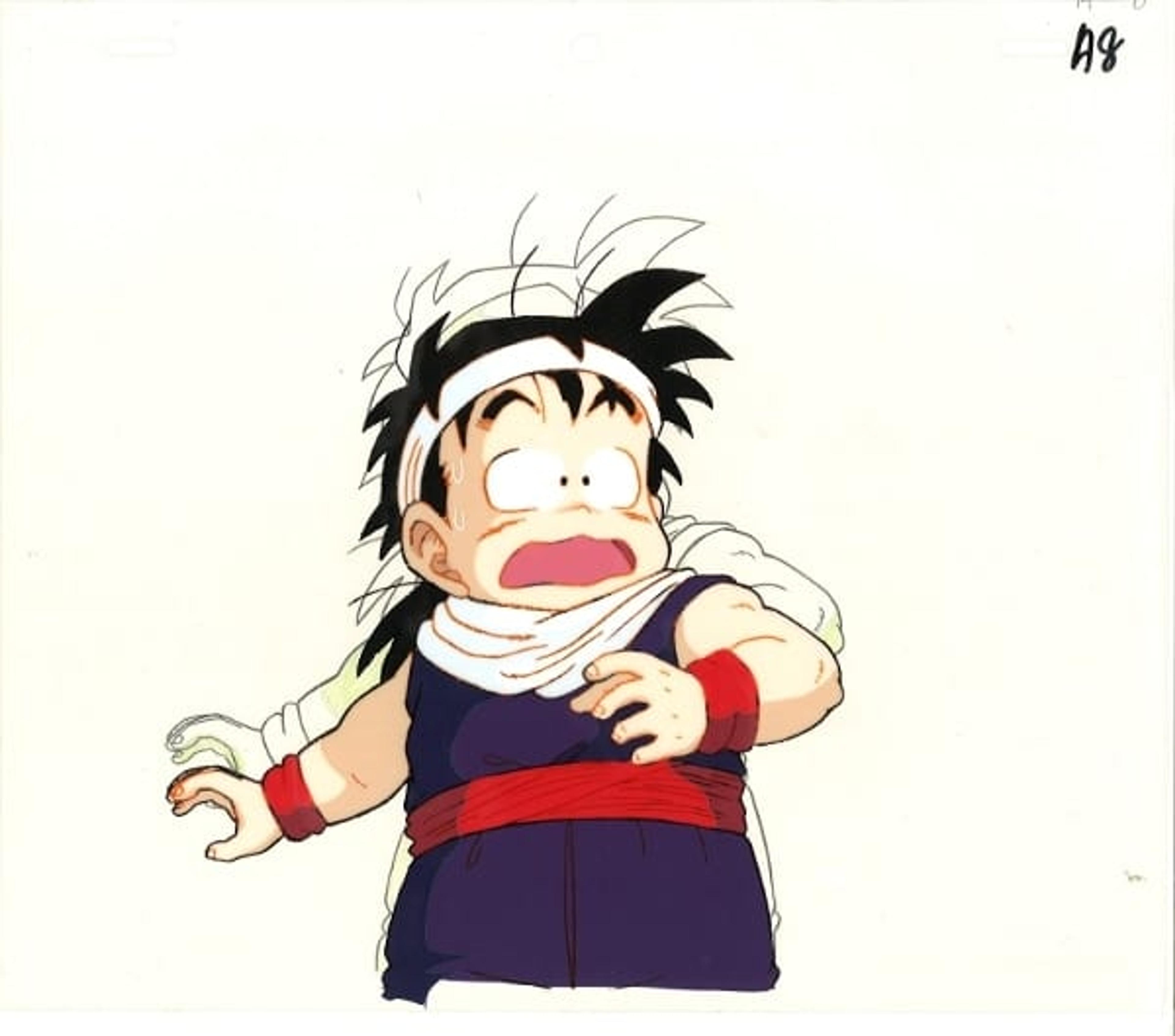 ドラゴンボールZ　孫悟飯