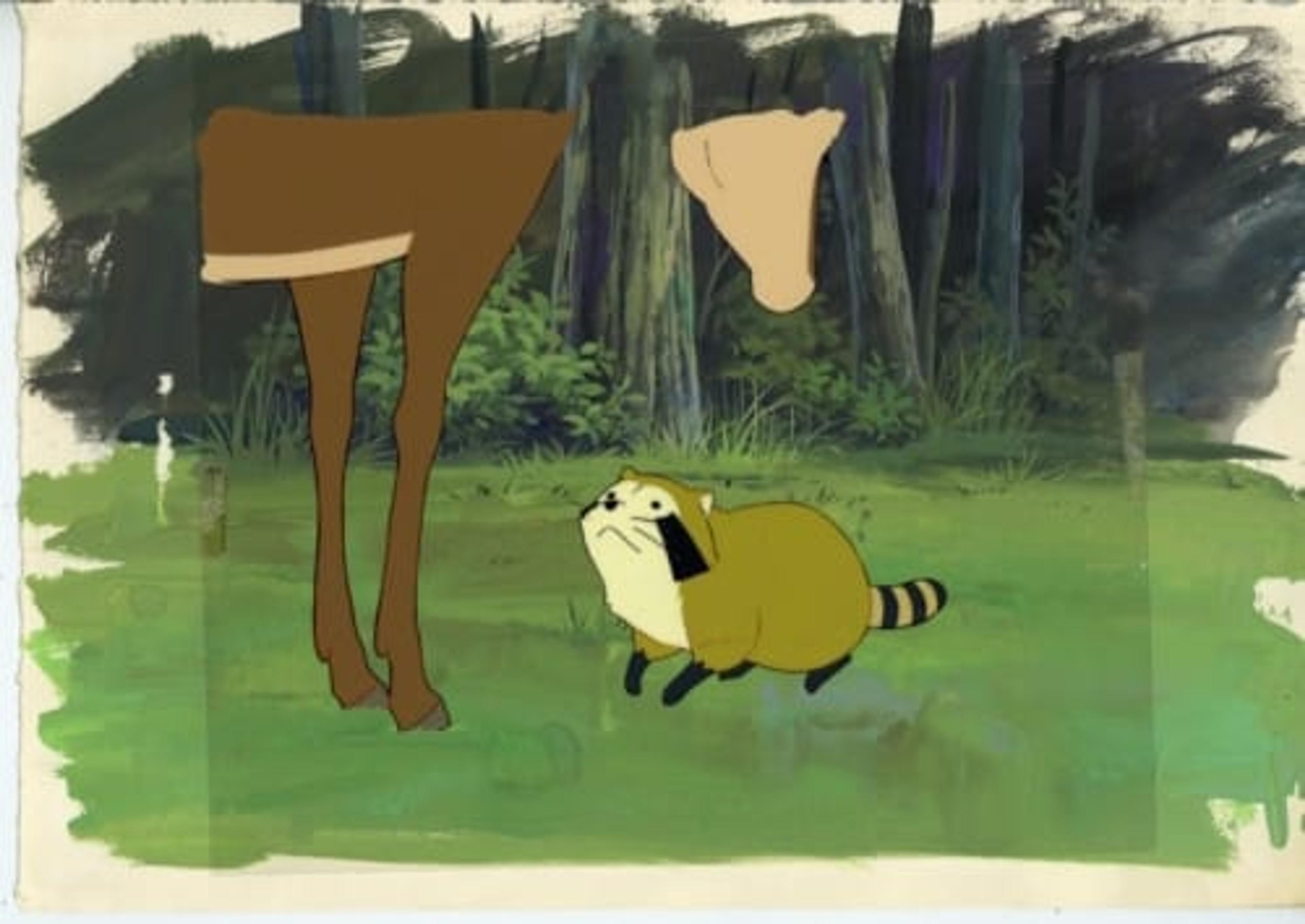 Raccoon Rascal