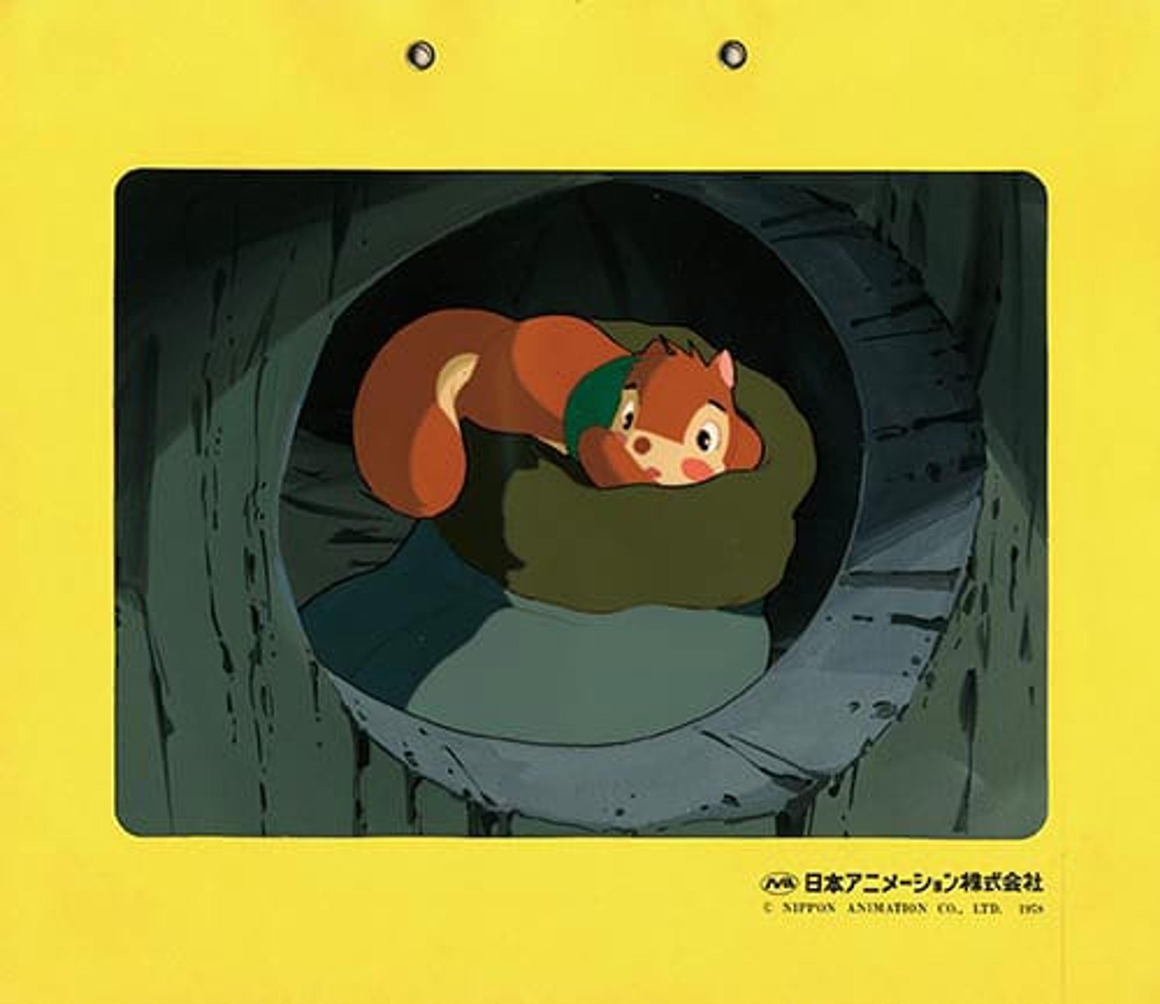 Bannertail:The Story of a Gray Squirrel cel.