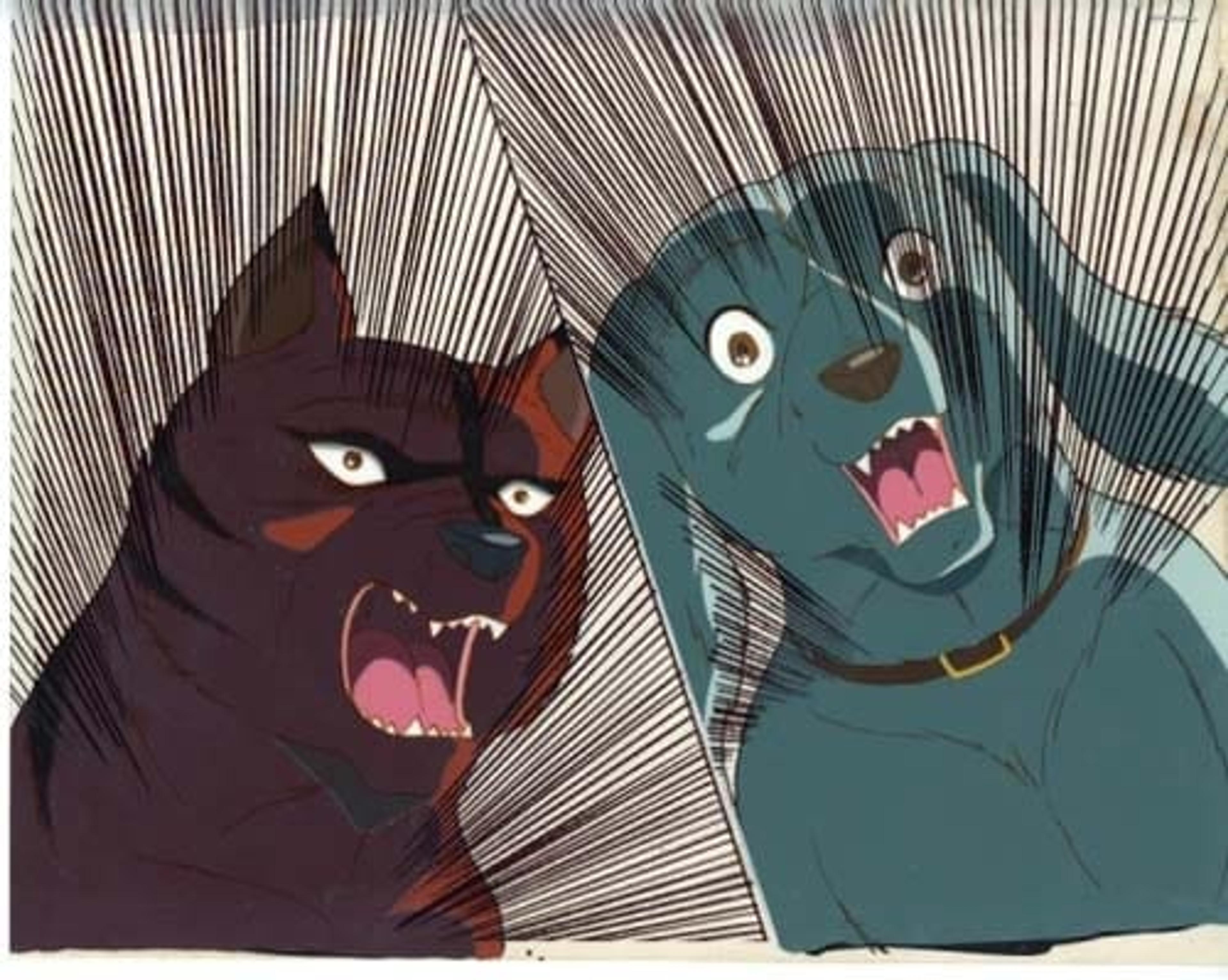 Ginga: Nagareboshi Gin