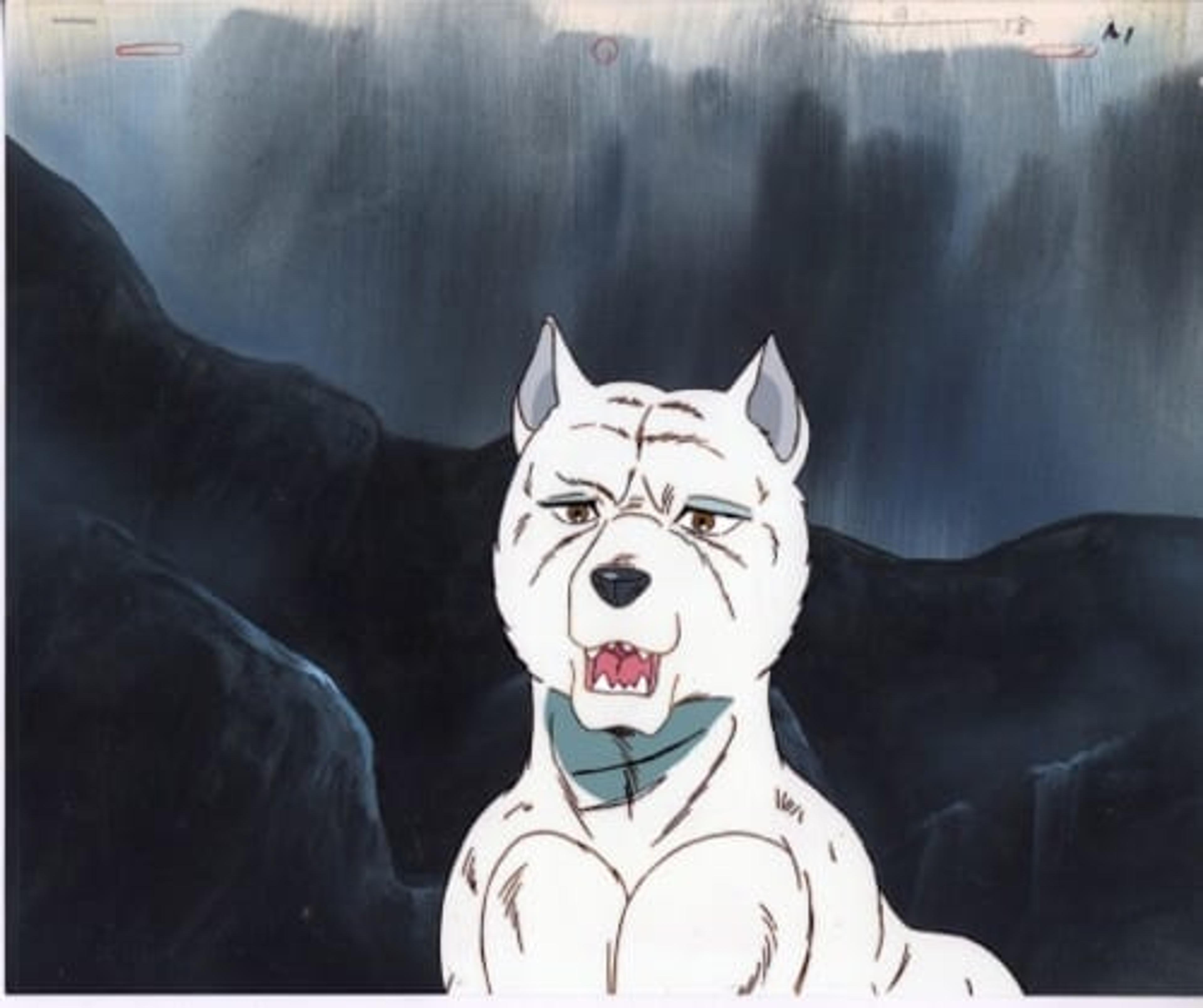 Ginga: Nagareboshi Gin