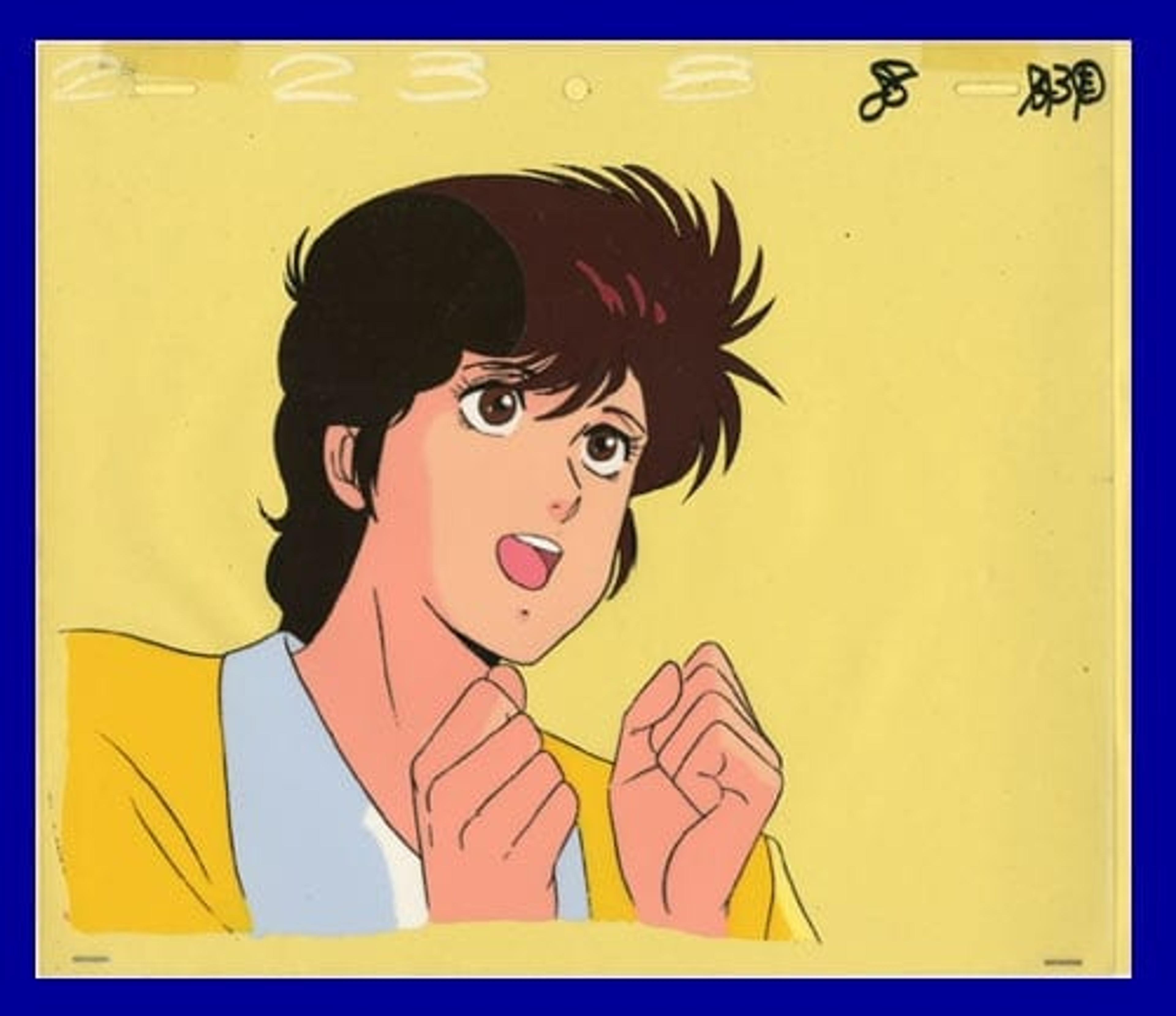 City Hunter 2