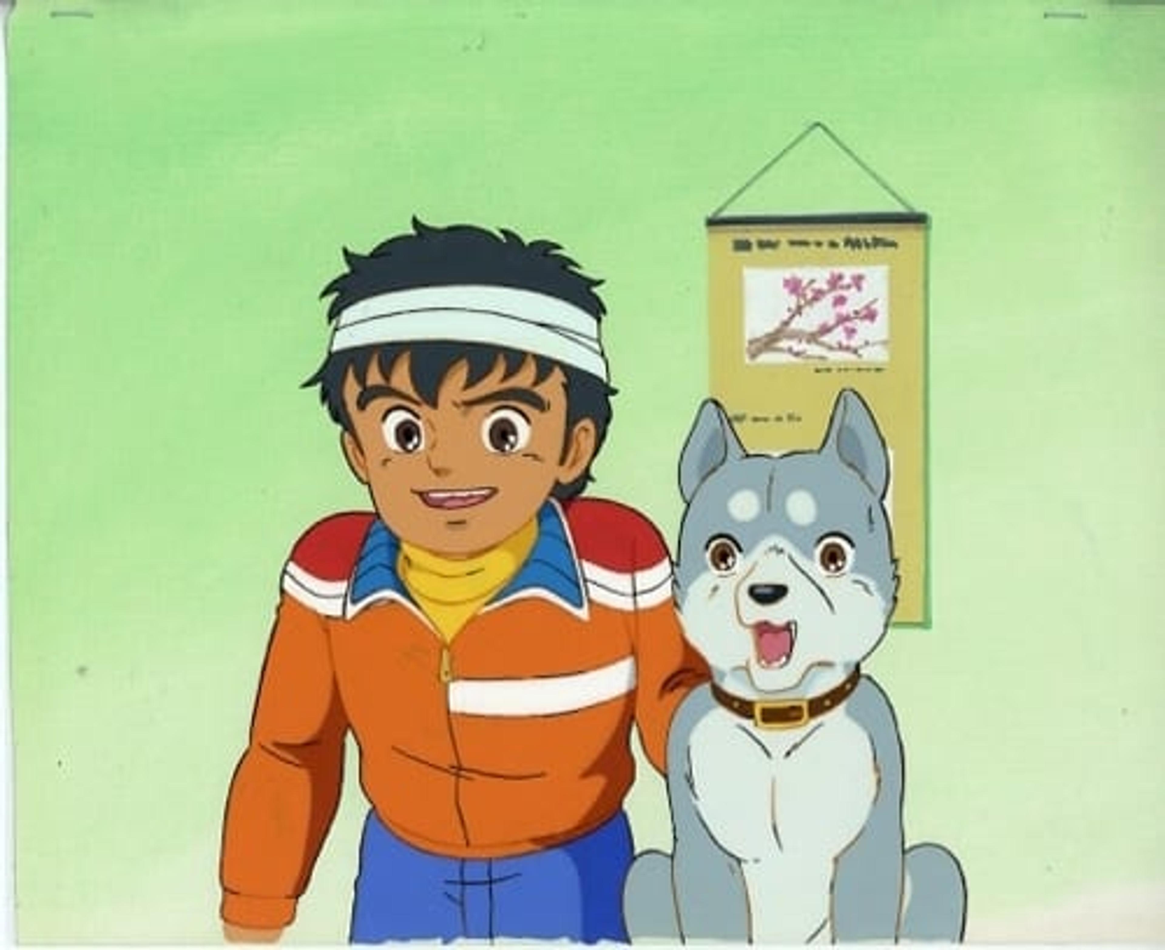 Ginga: Nagareboshi Gin