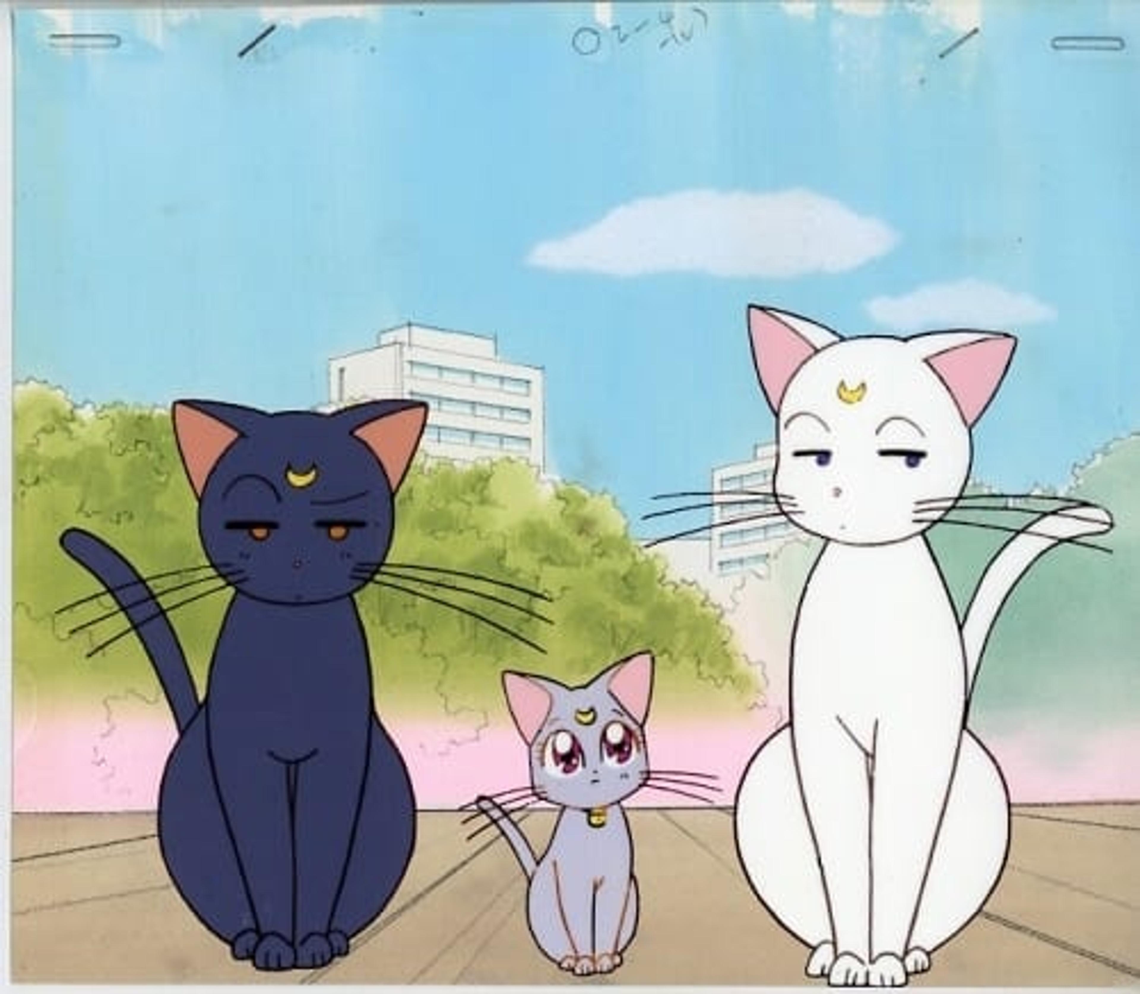 Sailor Moon