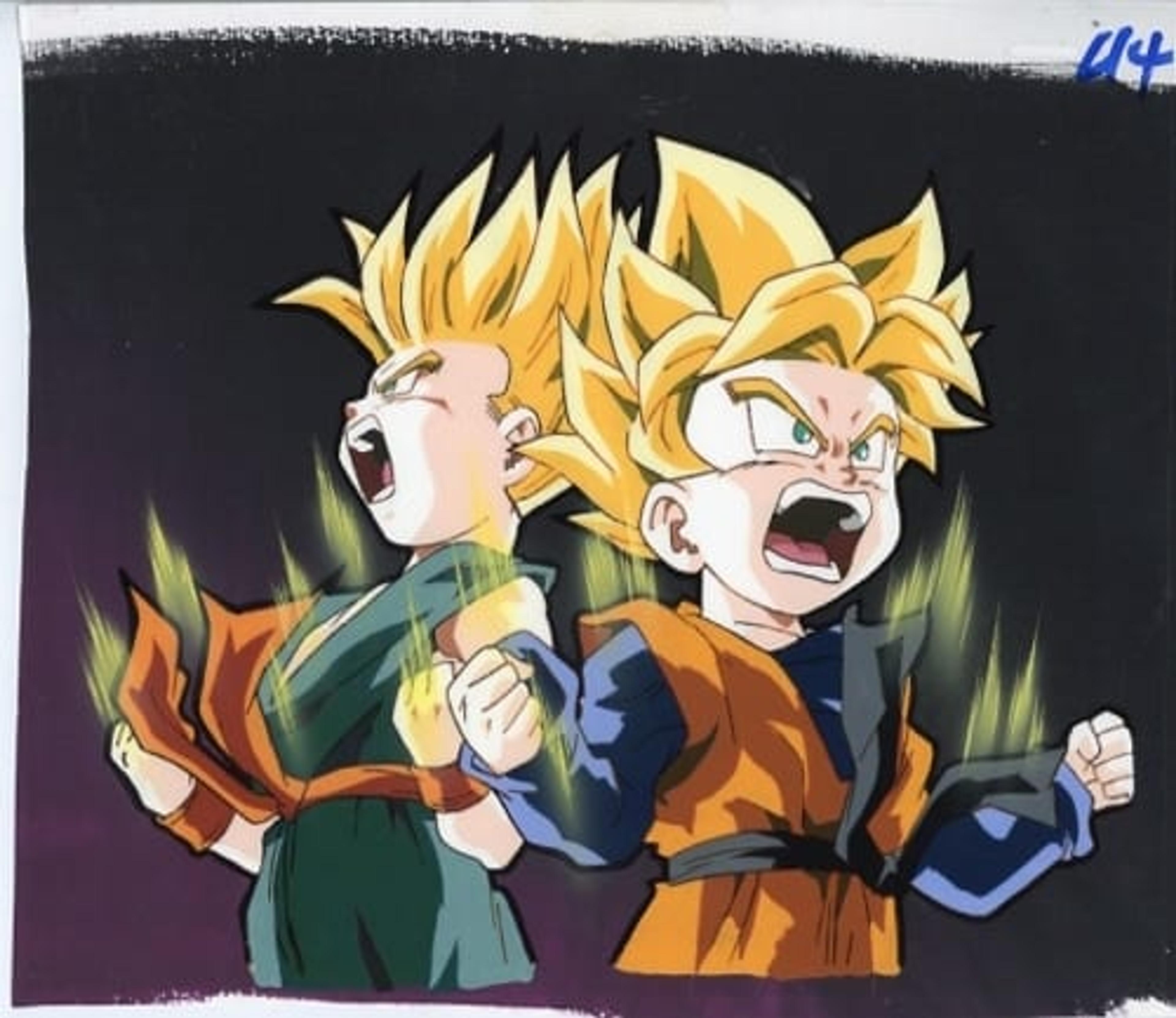 Dragon Ball Z: Fusion Reborn