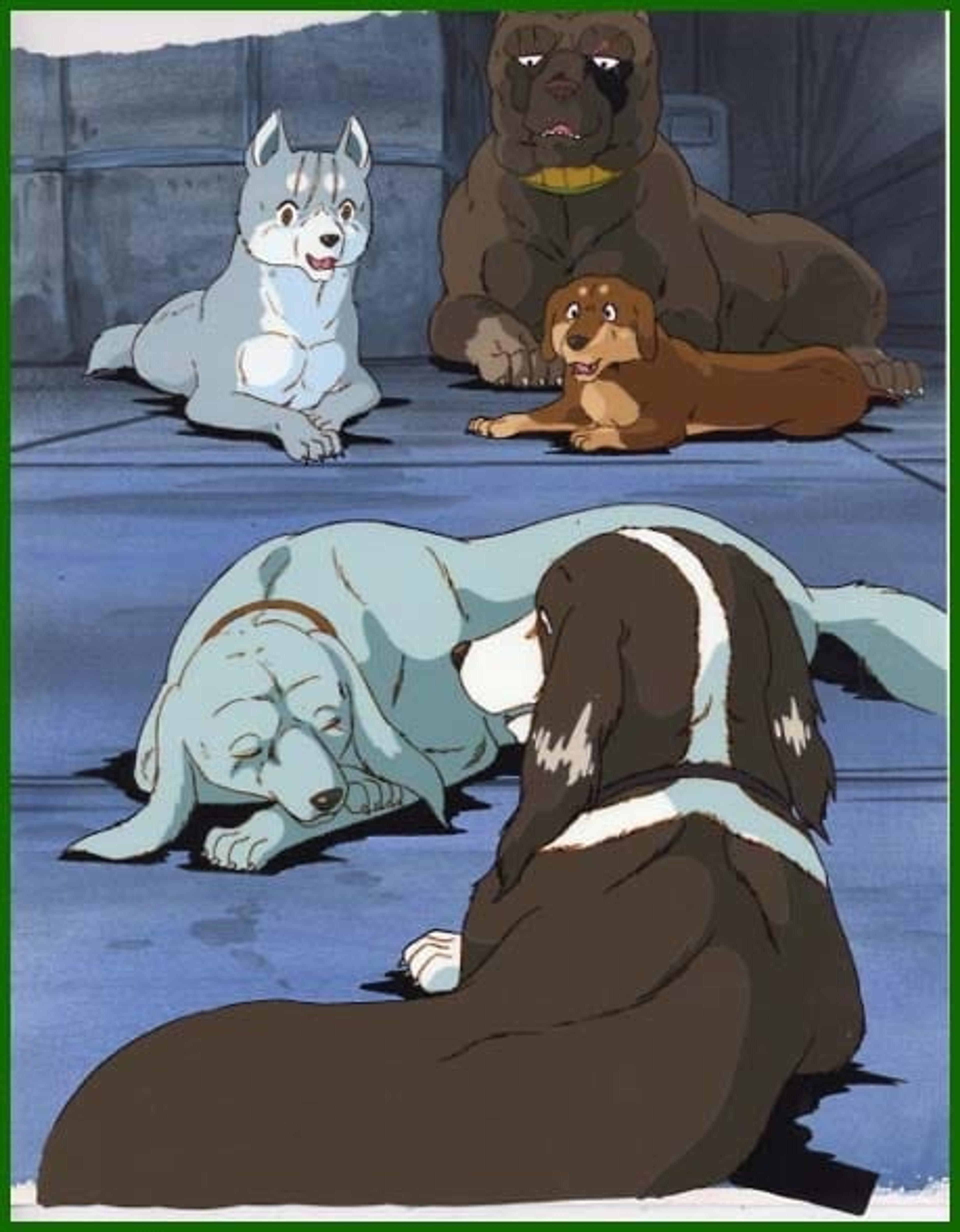 Ginga: Nagareboshi Gin