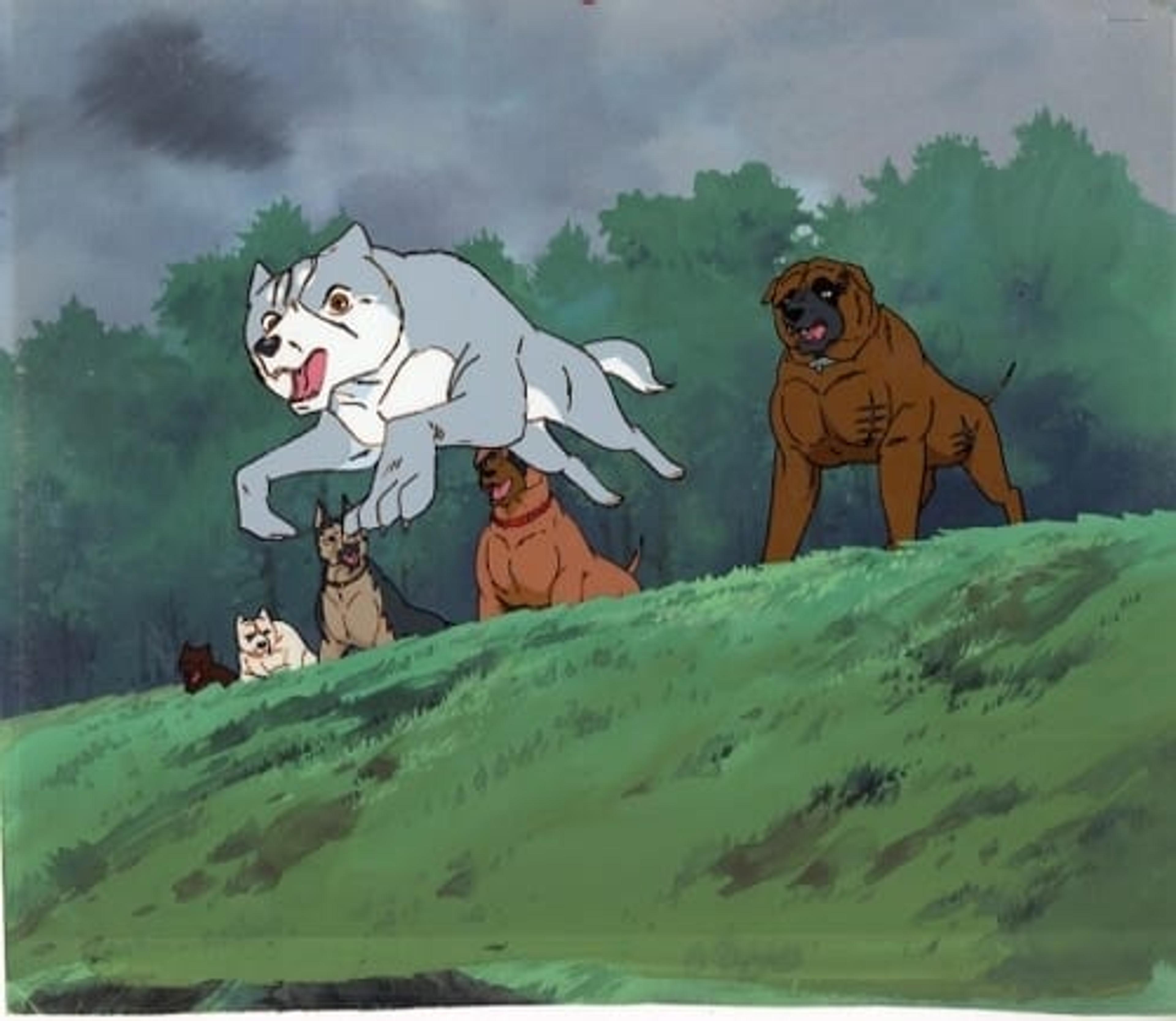 Ginga: Nagareboshi Gin