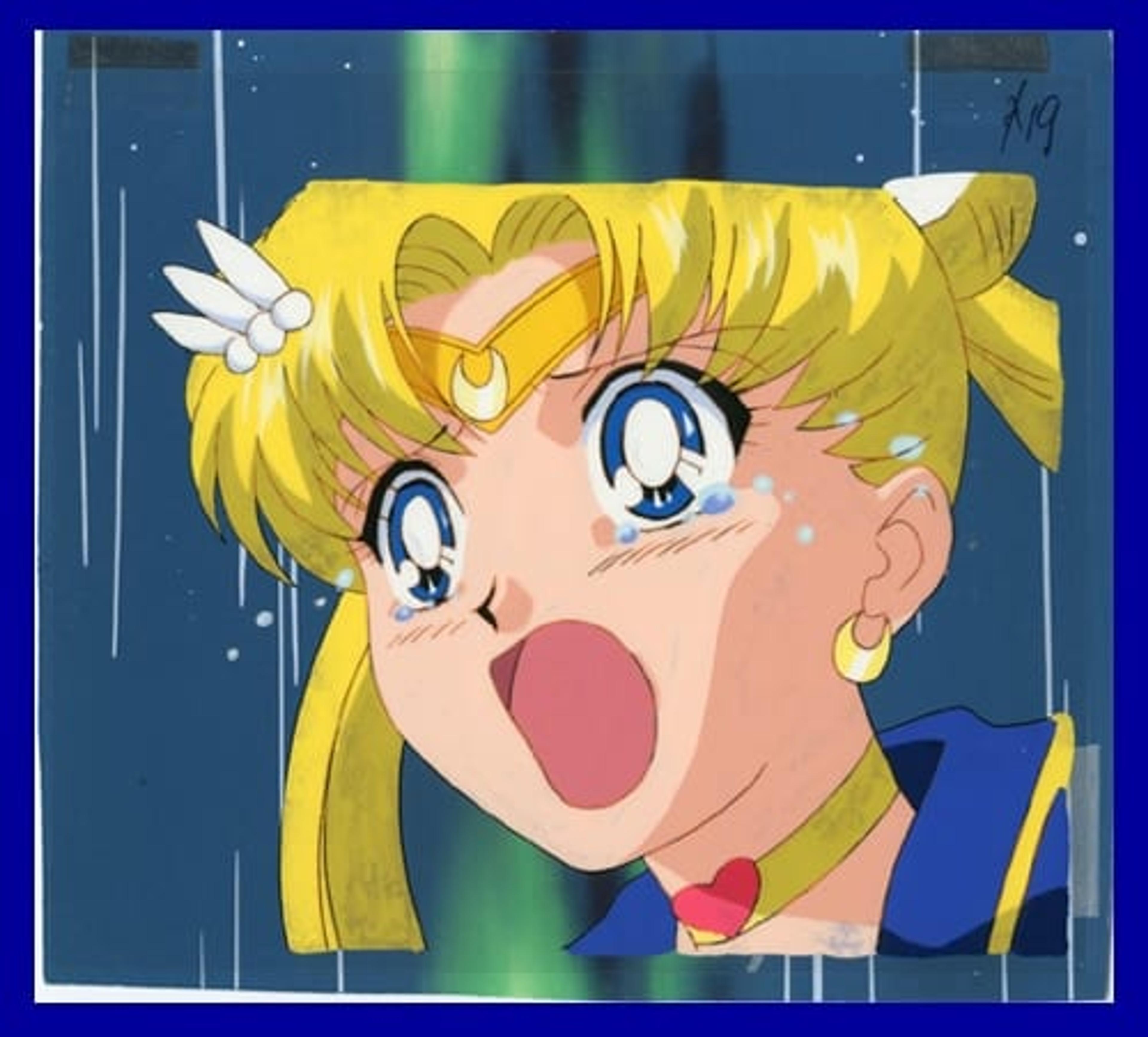 Sailor Moon