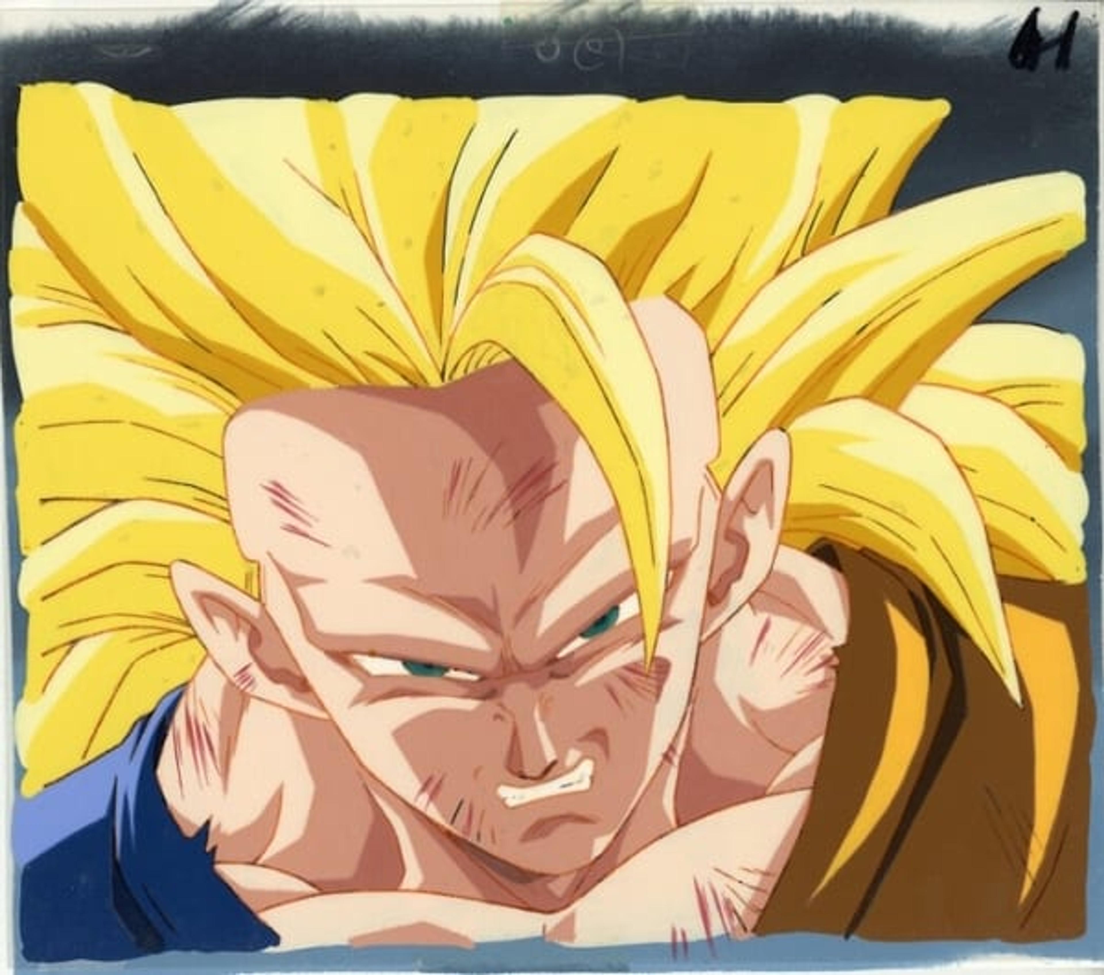 Dragon Ball Z: Fusion Reborn