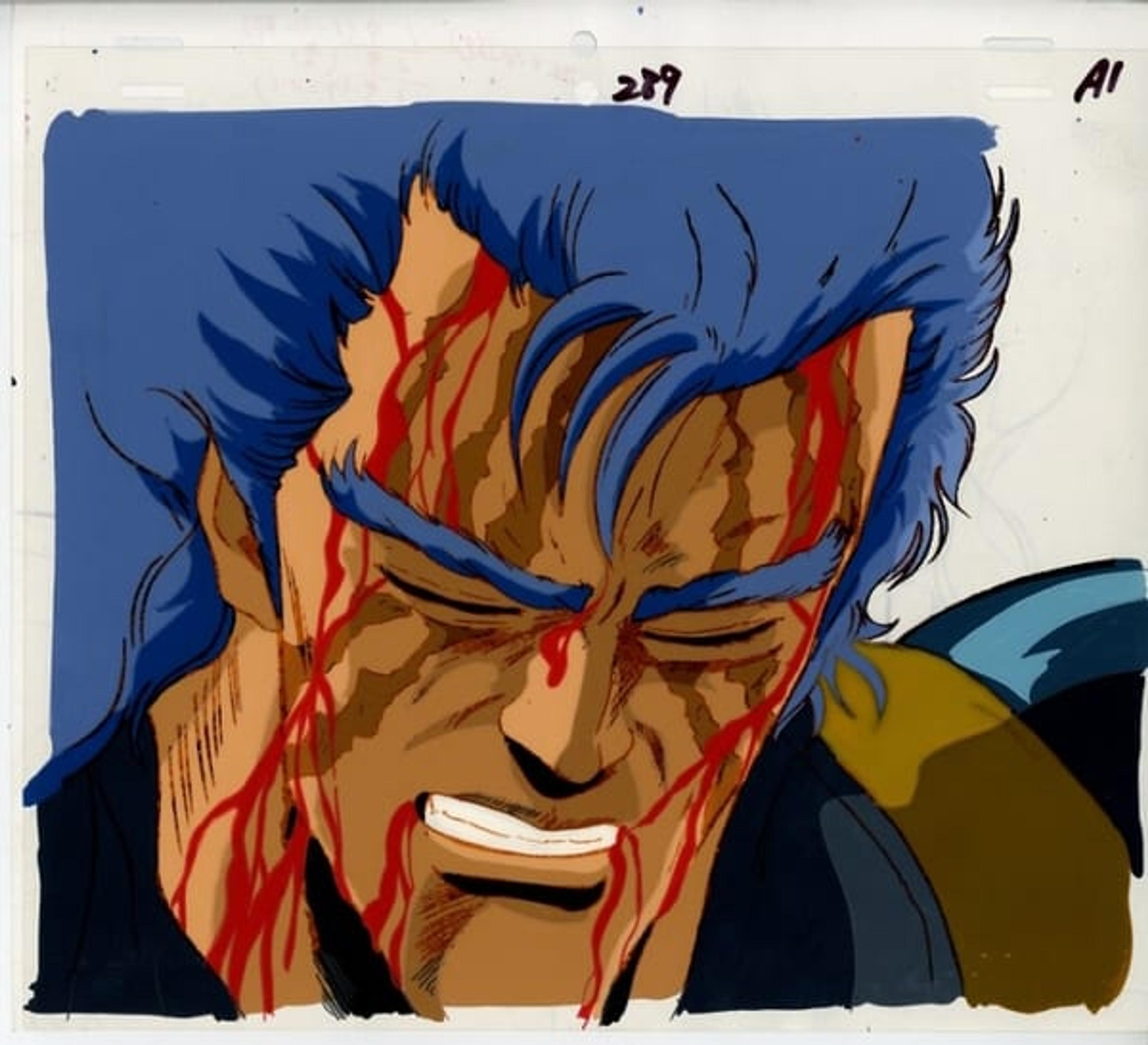 Fist of the North Star