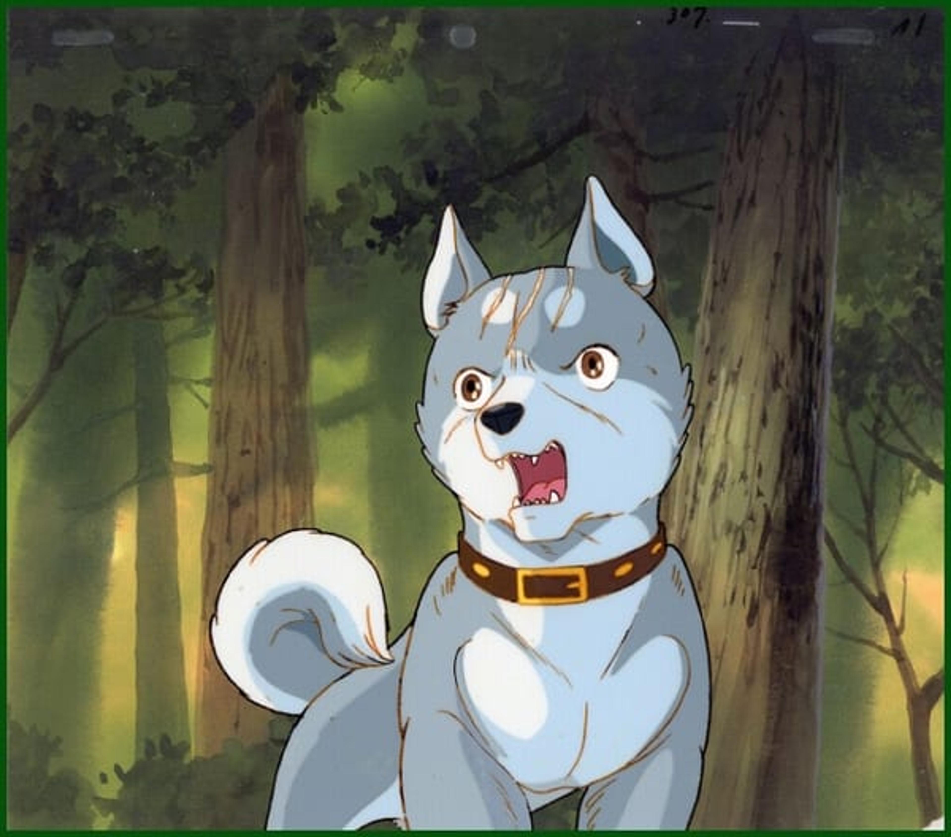 Ginga: Nagareboshi Gin