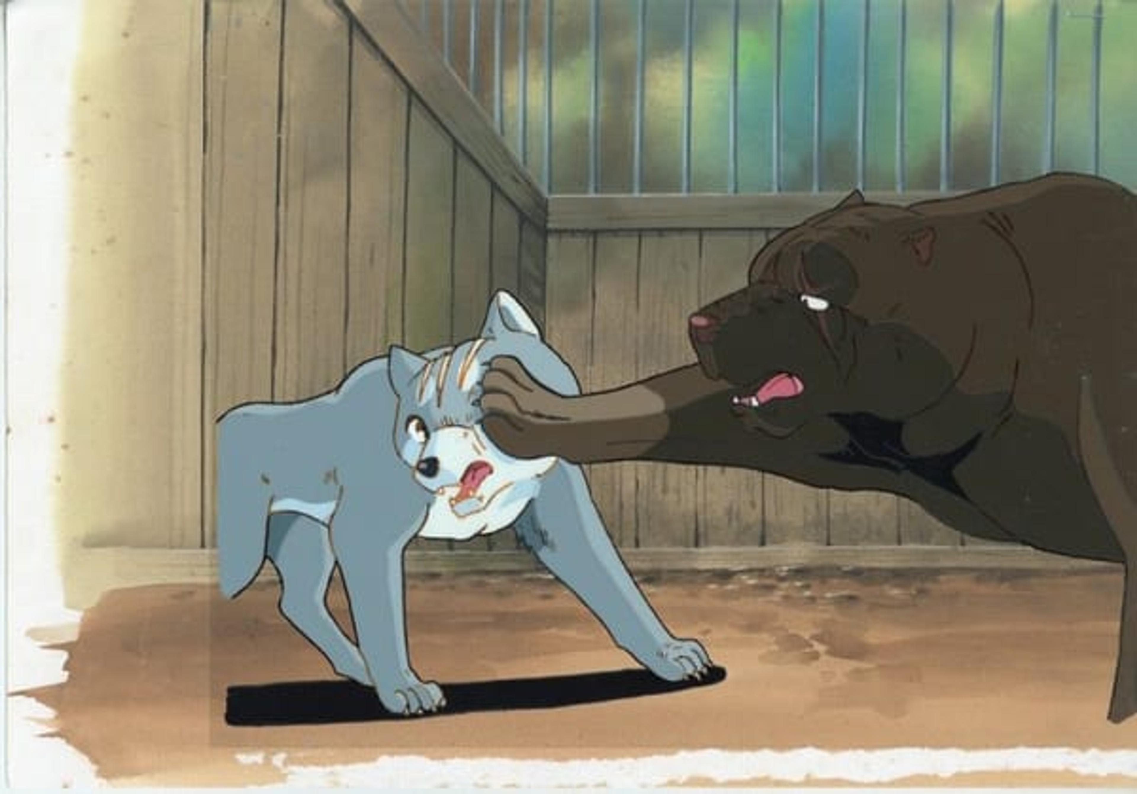 Ginga: Nagareboshi Gin