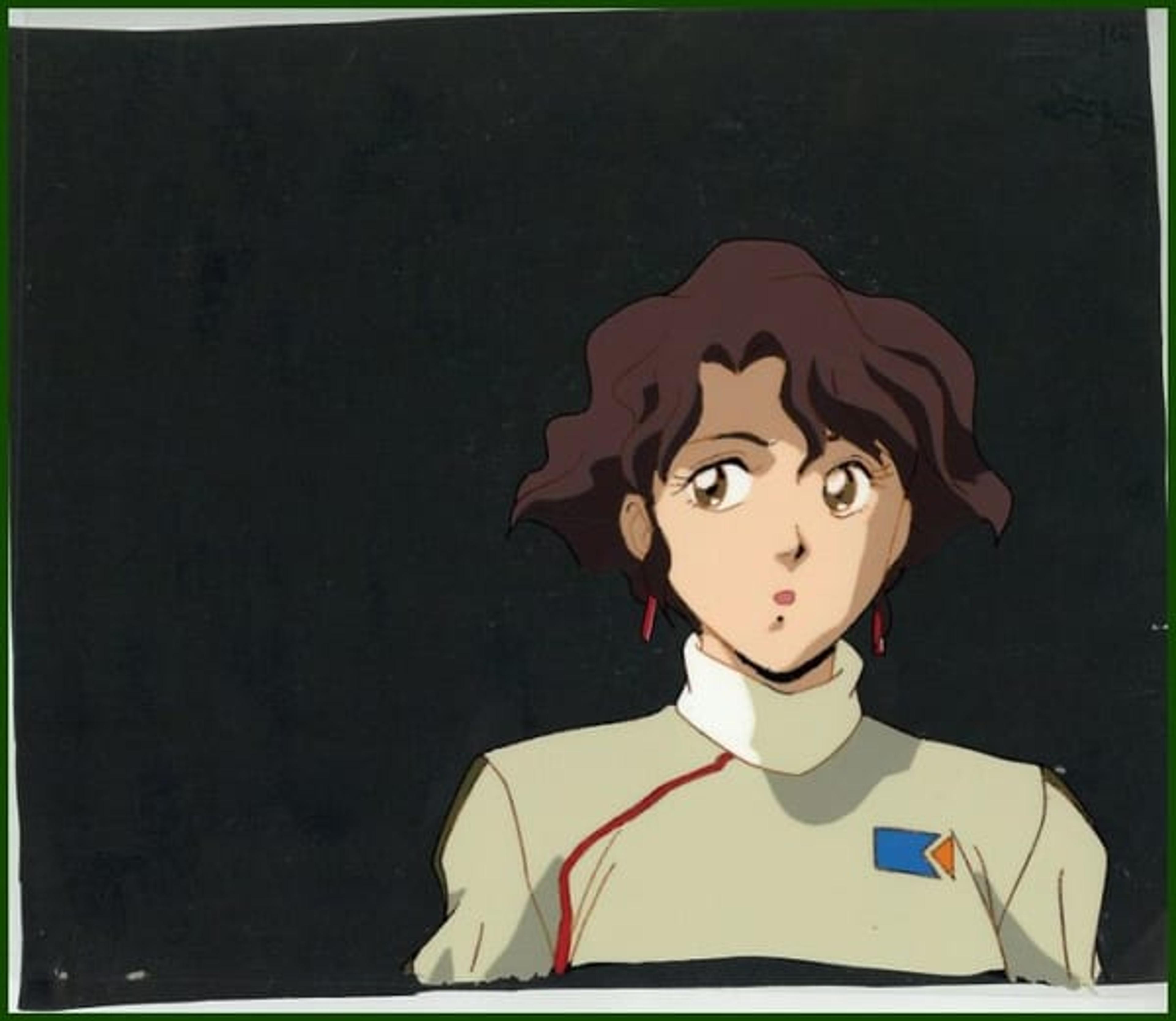 The Irresponsible Captain Tylor