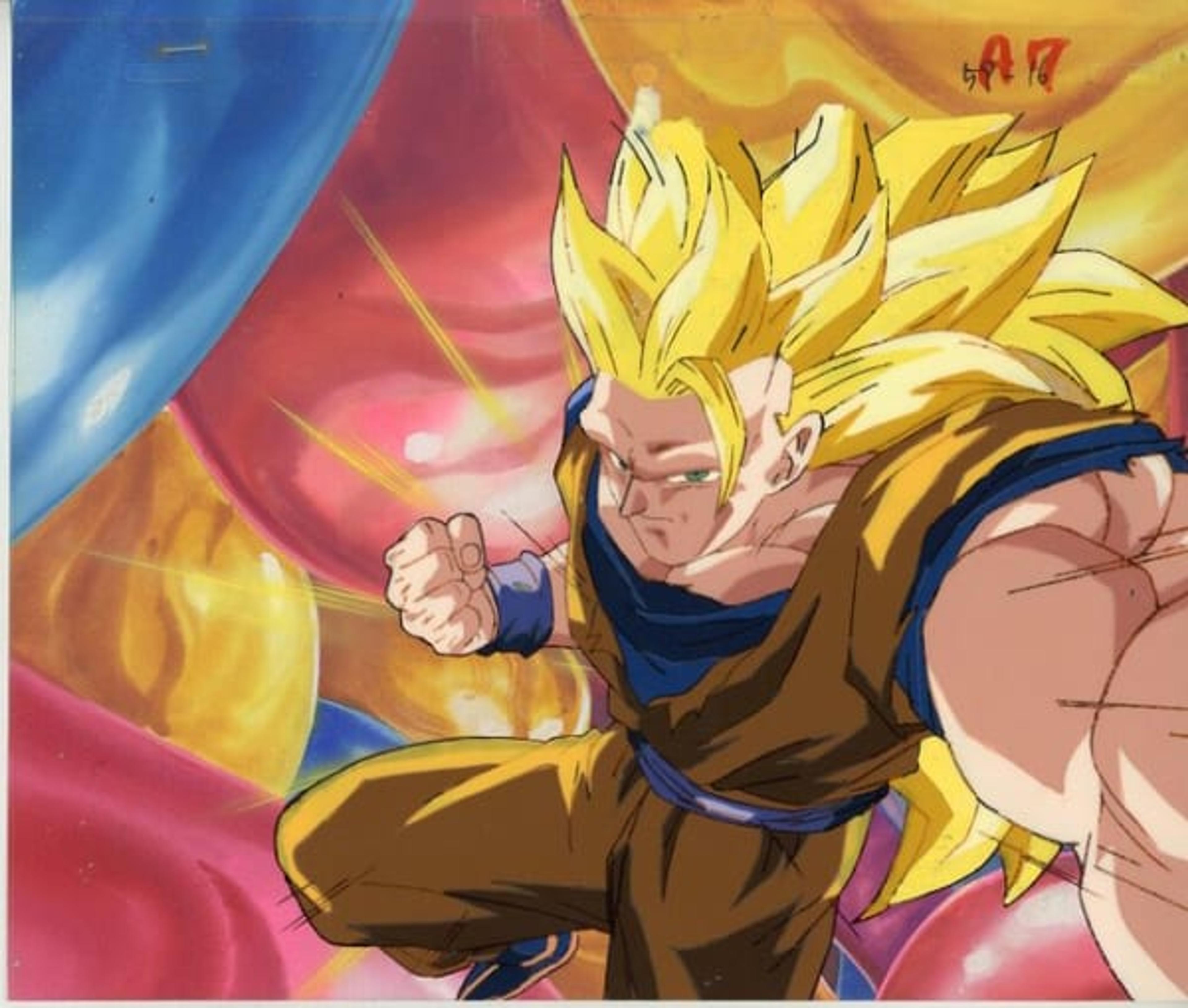 Dragon Ball Z: Fusion Reborn
