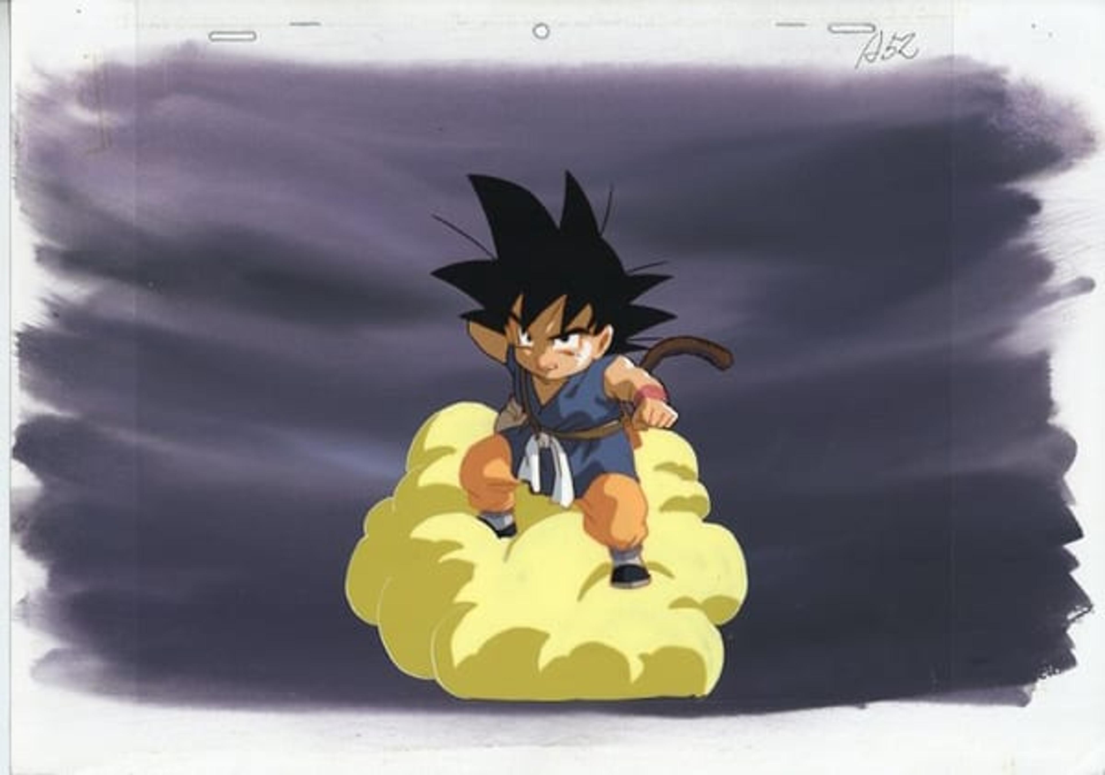 Dragon Ball: The Path to Power