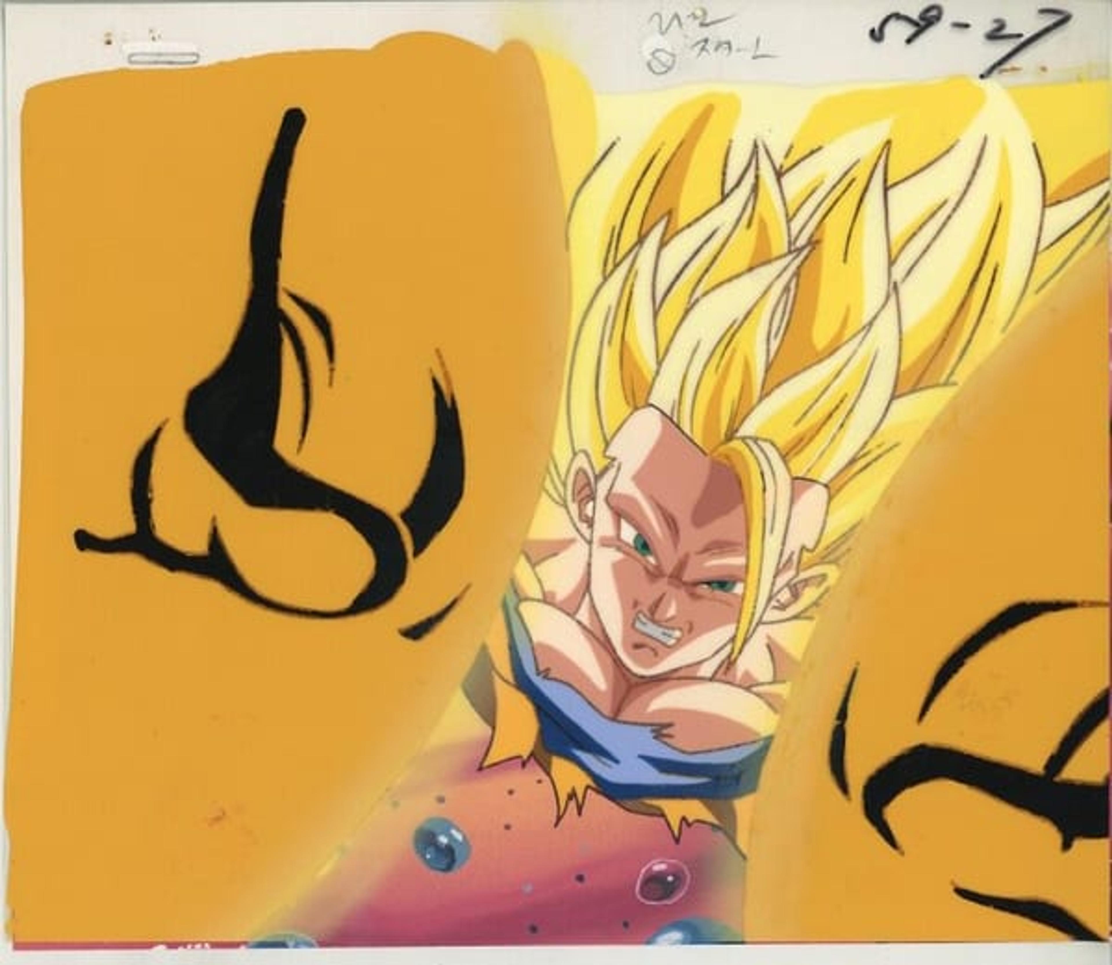 Dragon Ball Z: Fusion Reborn