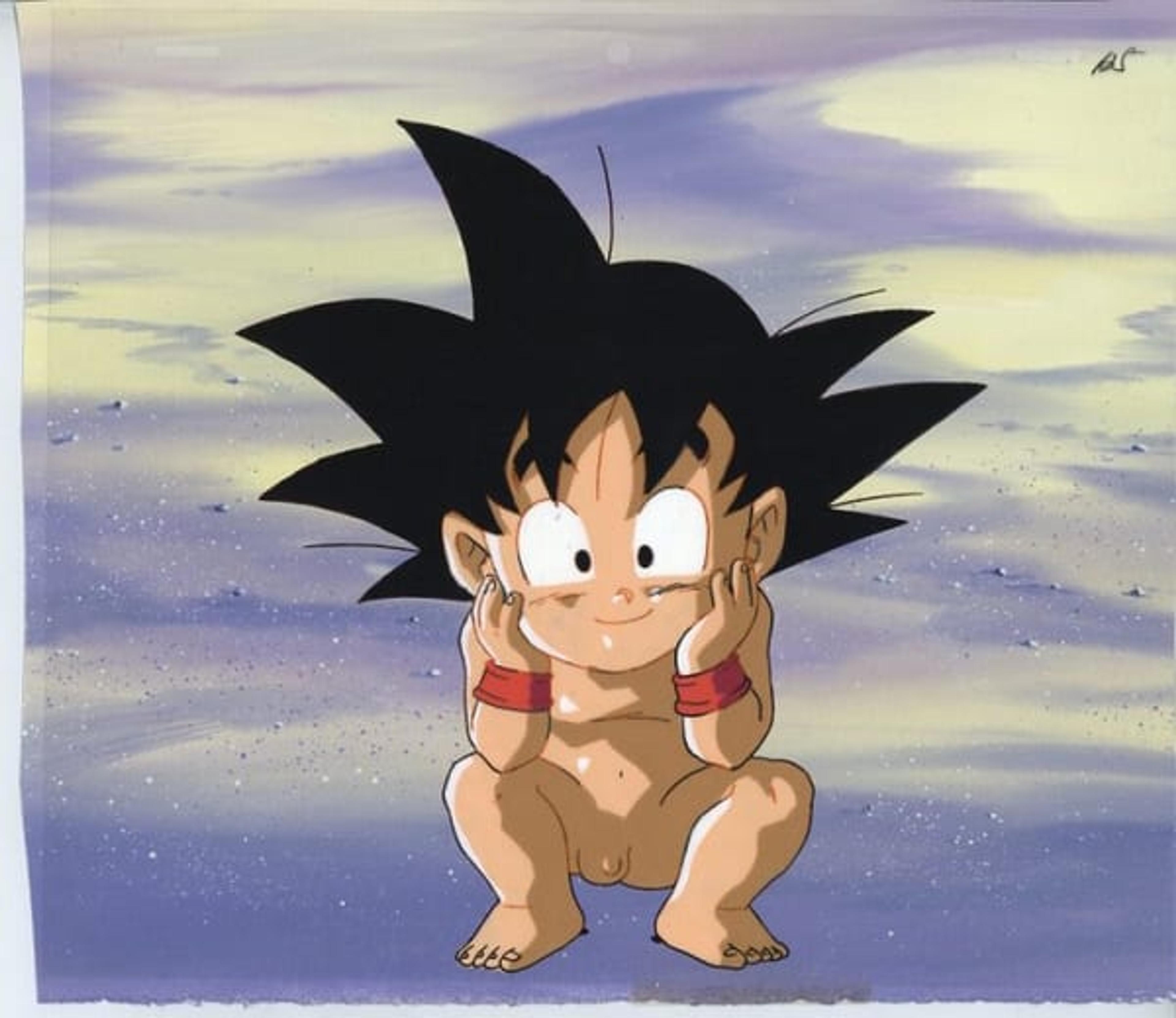 Dragon Ball: The Path to Power