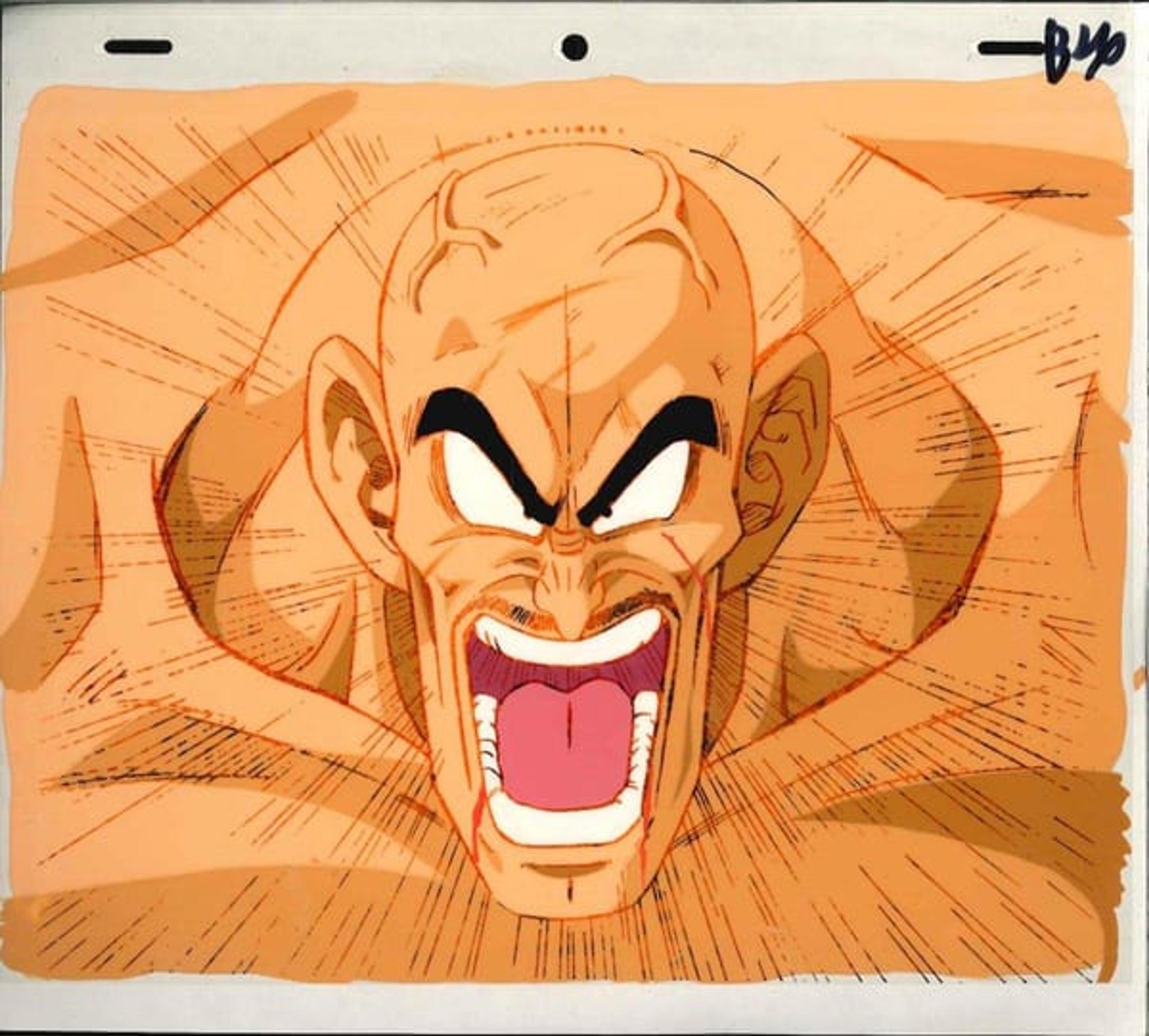 Dragon Ball Z