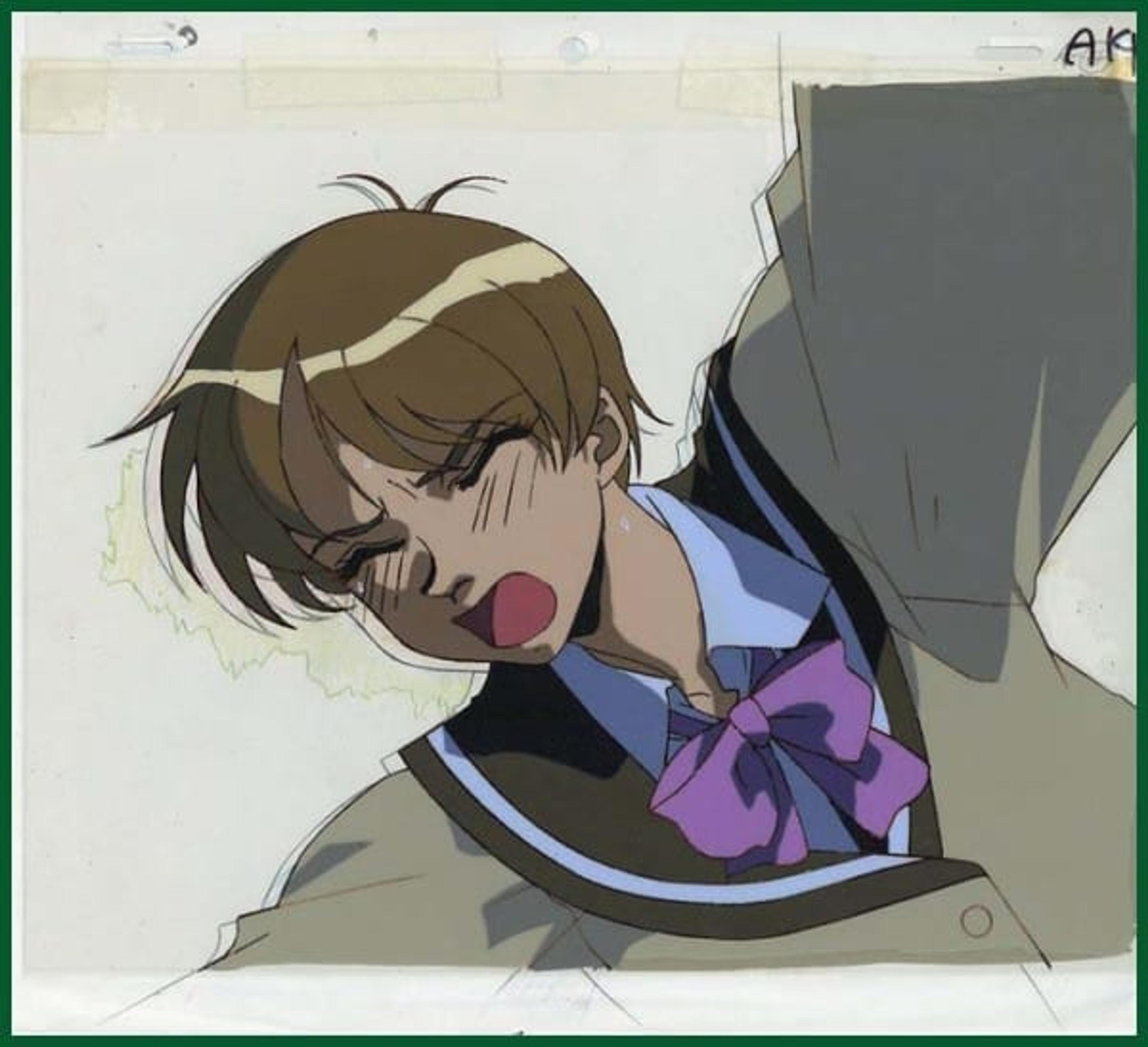 Vision of Escaflowne