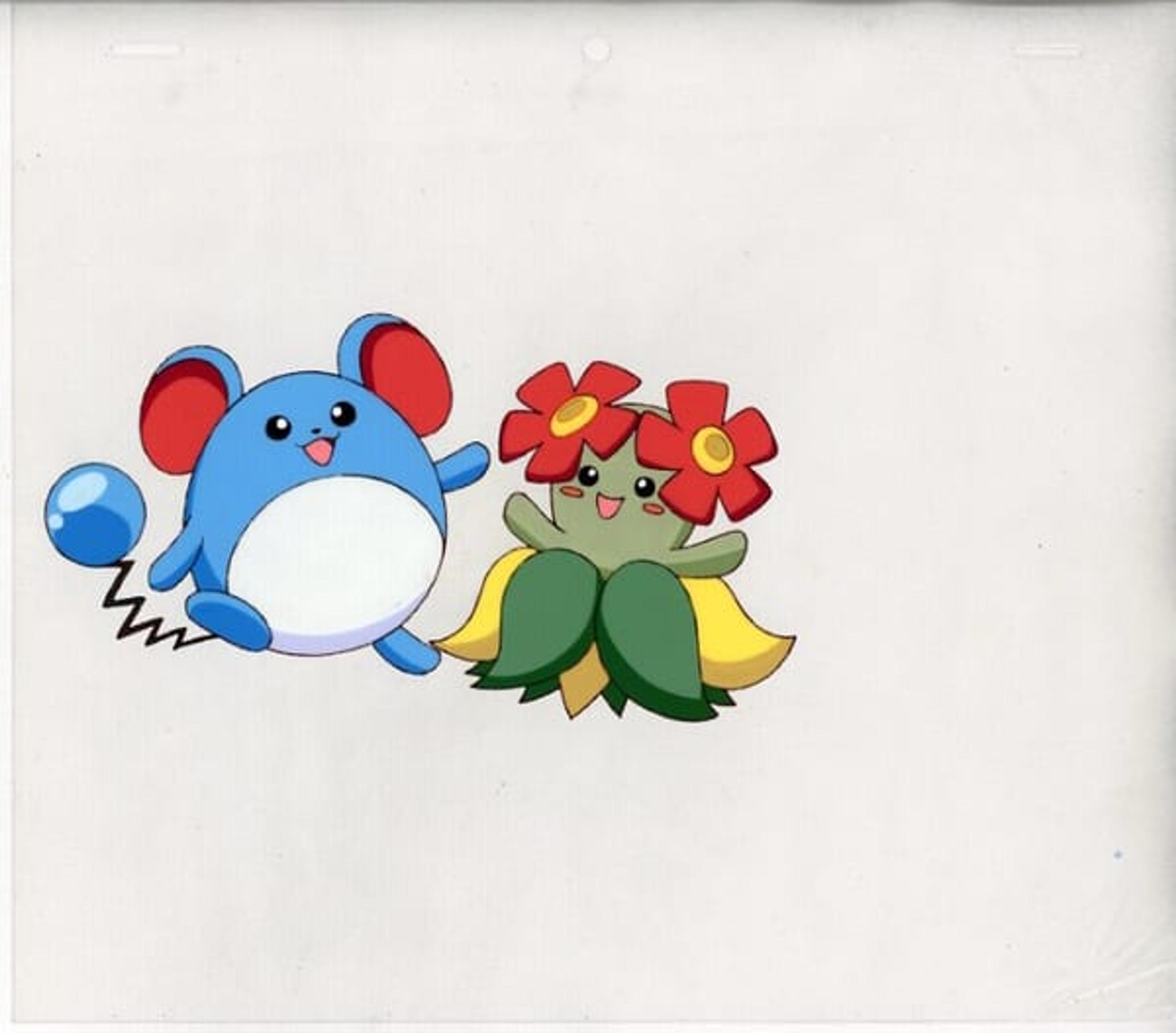 pocket monster : hanken cel : Marill/Bellossom
