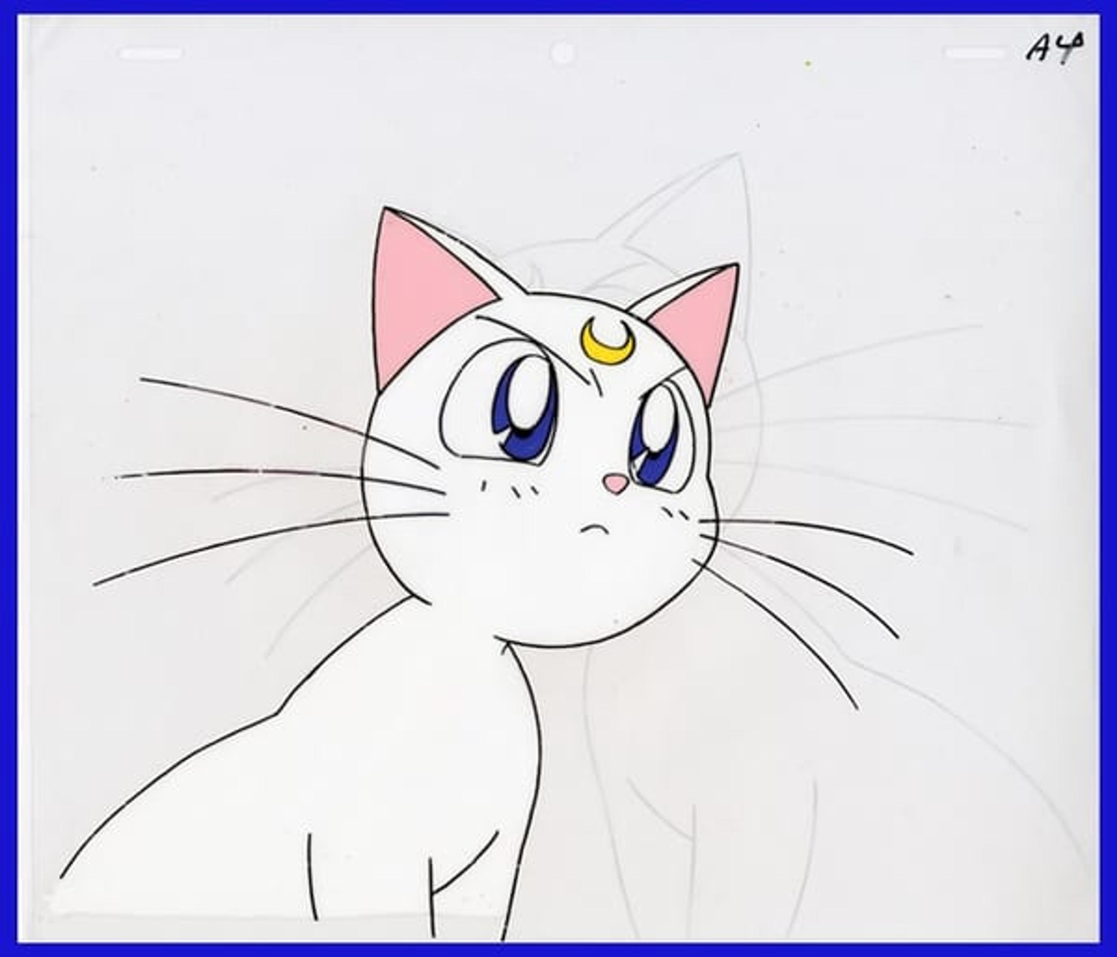 Sailor Moon