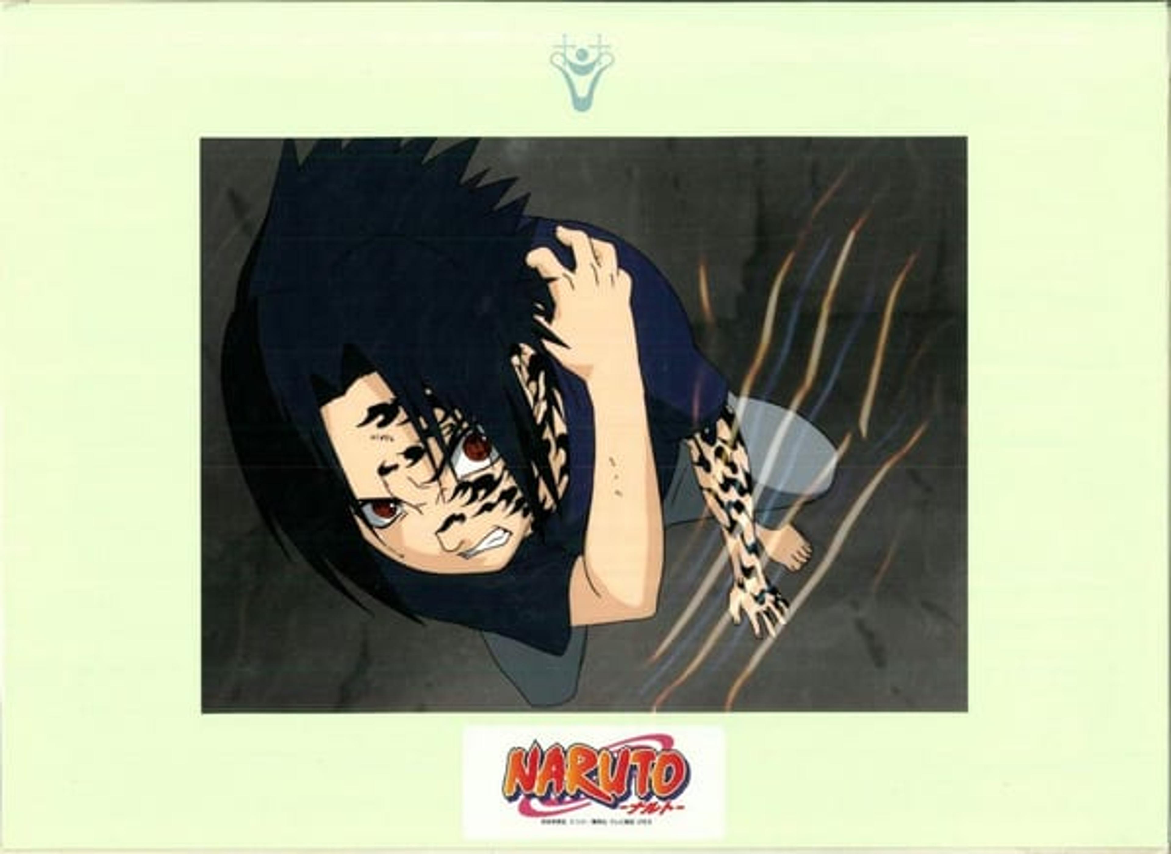 SASUKE