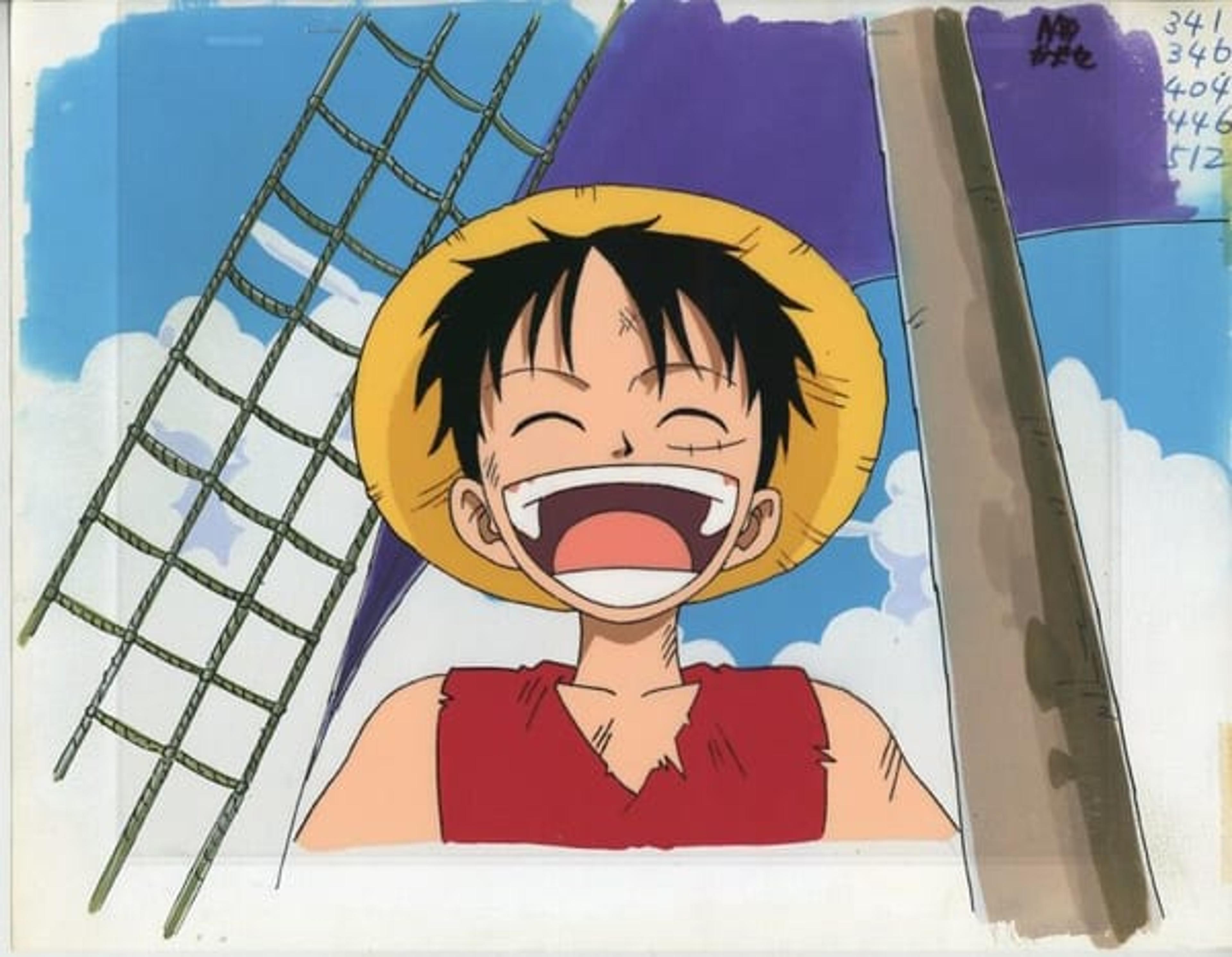 one peice : Monkey D. Luffy