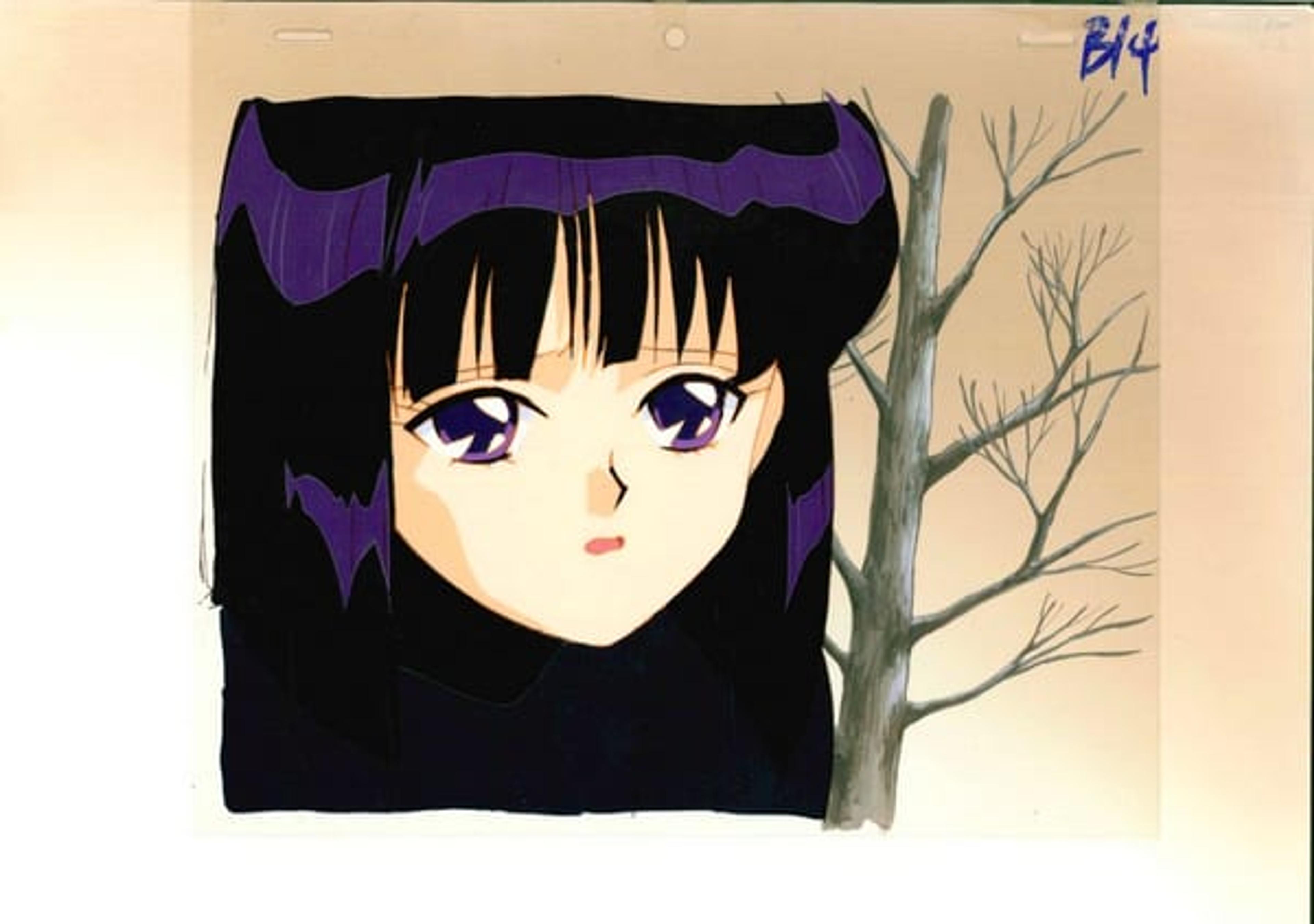 Sailor Moon S