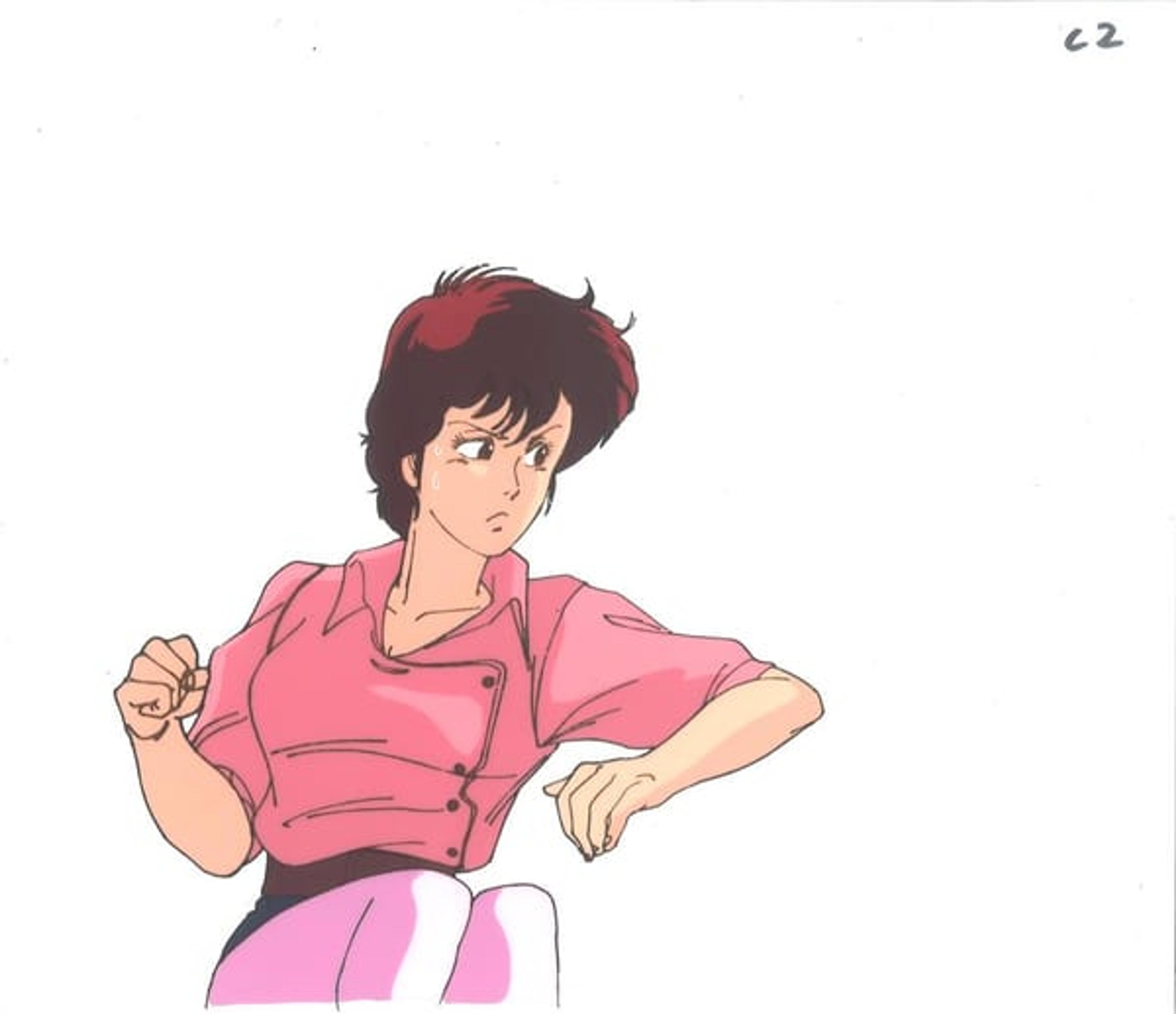 City Hunter