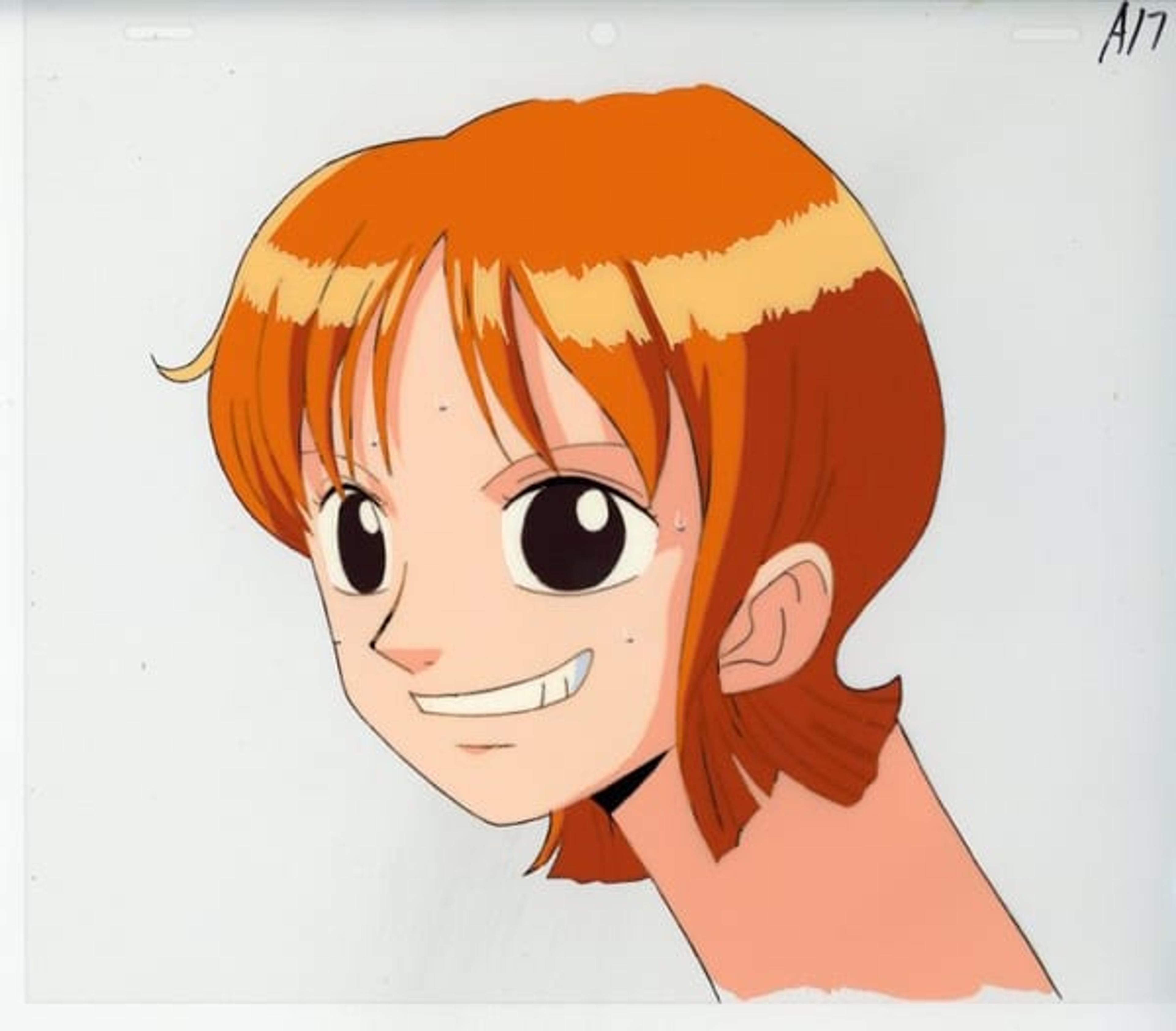 ONE PIECE: The Movie