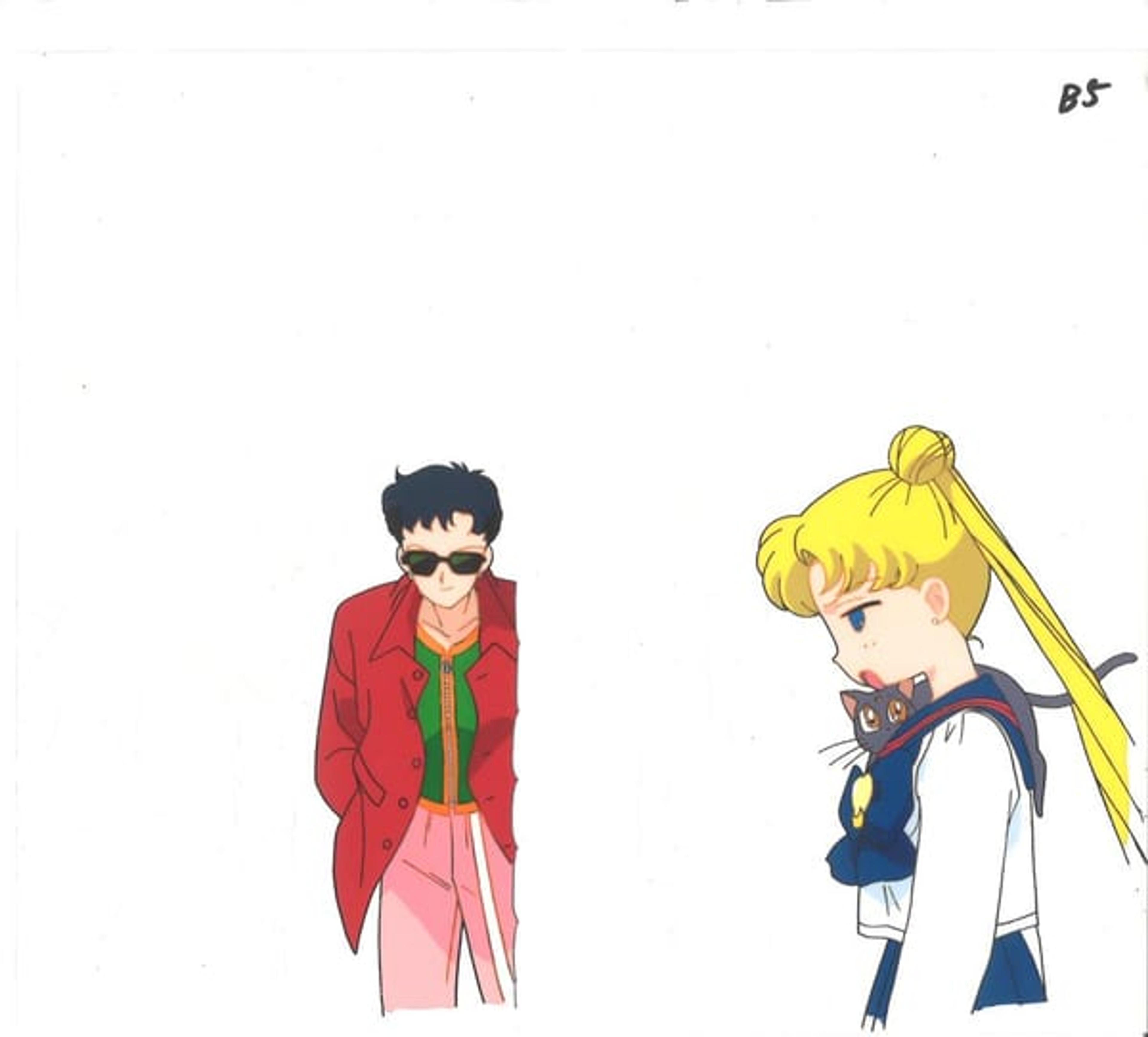 Sailor Moon Sailor Stars