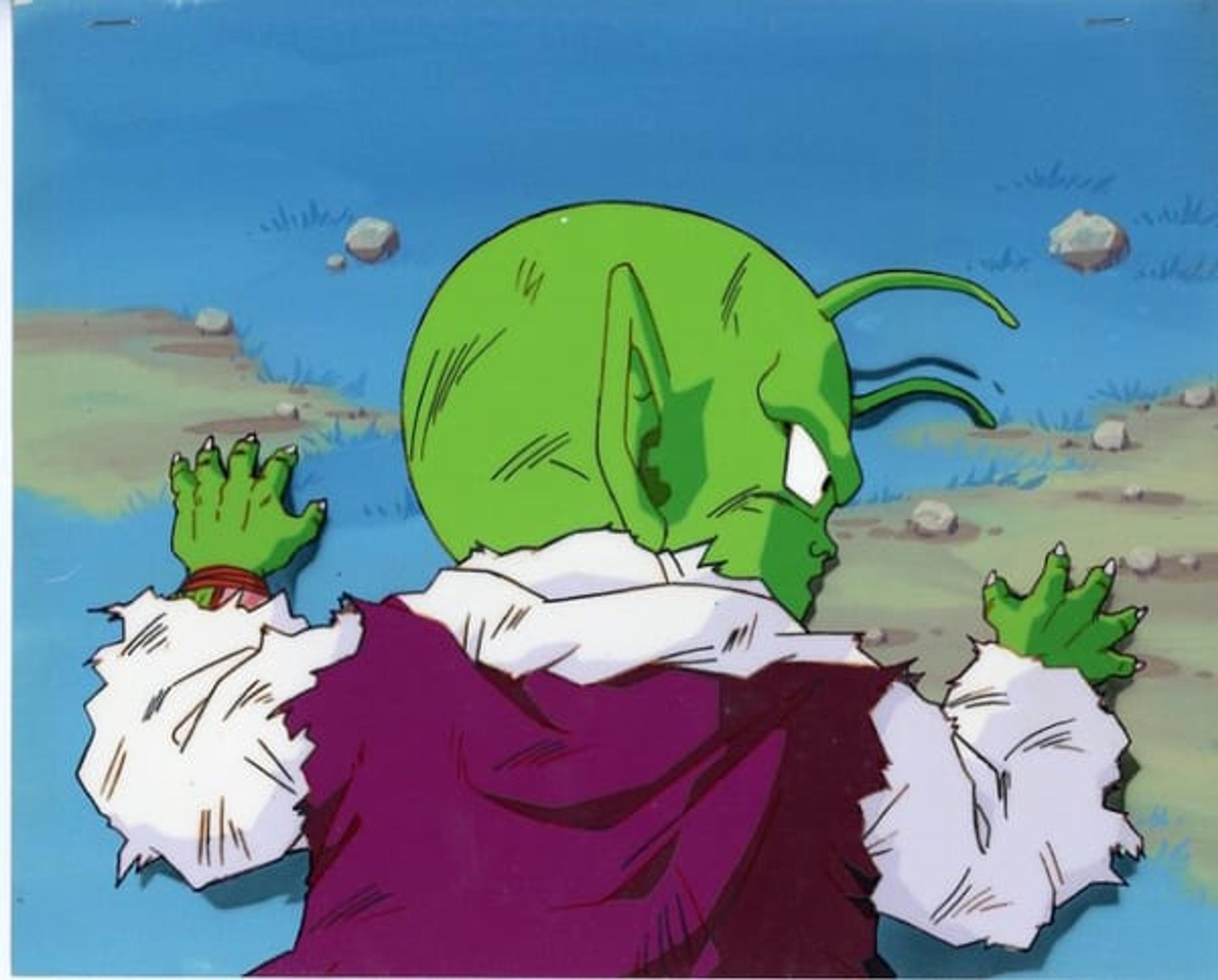 Dragon Ball Z