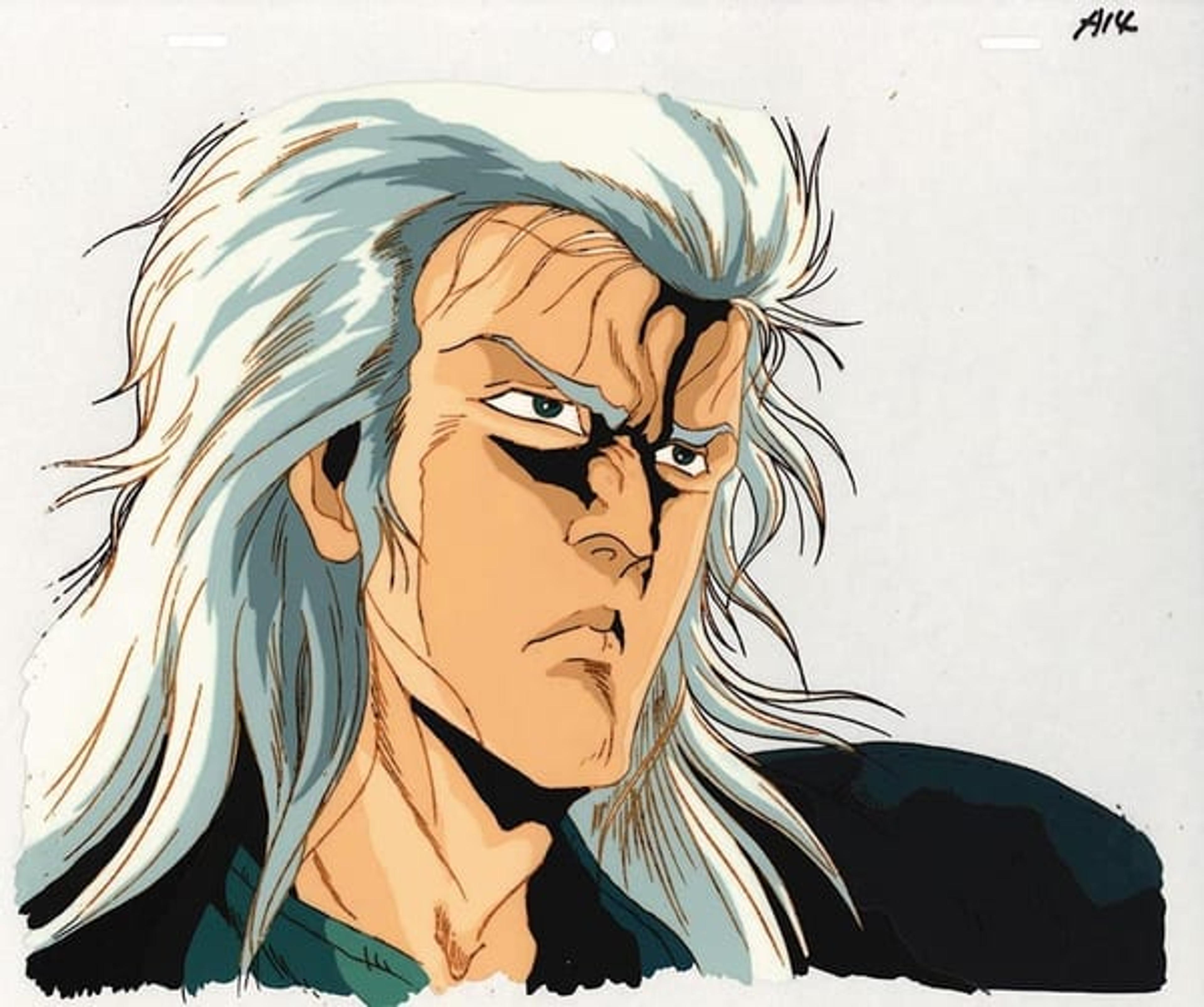 Fist of the North Star
