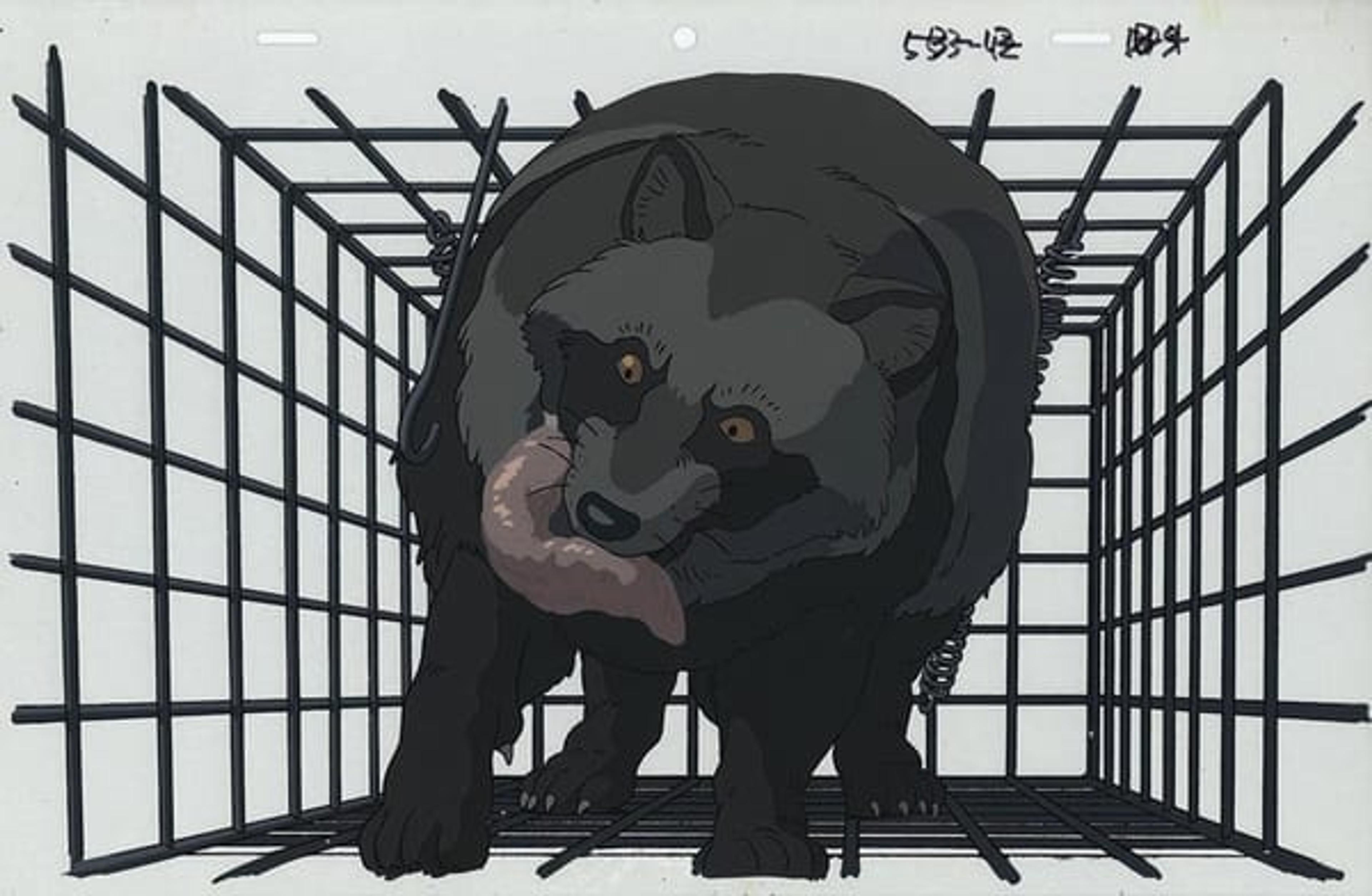 Pom Poko