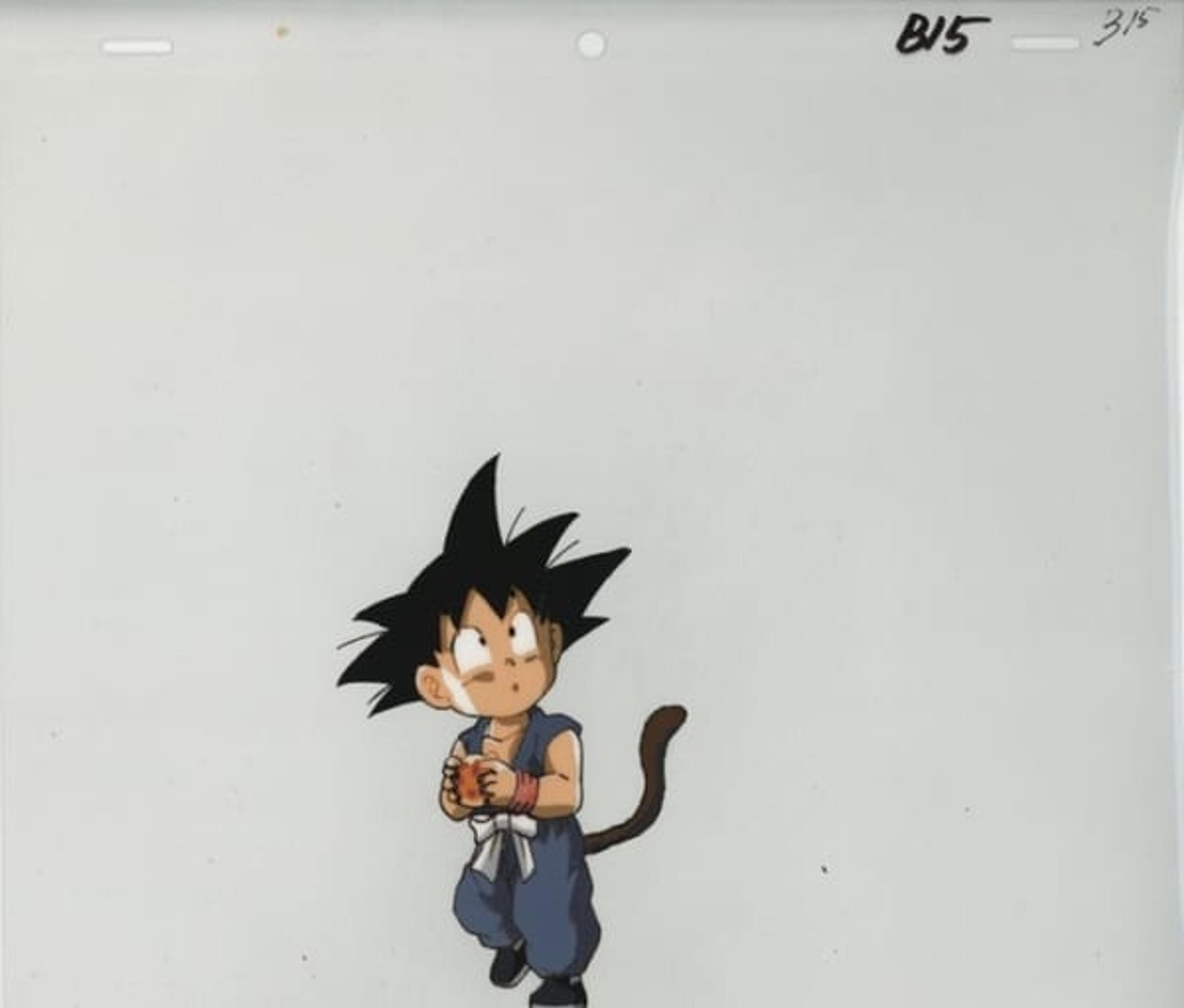 Dragon Ball: The Path to Power