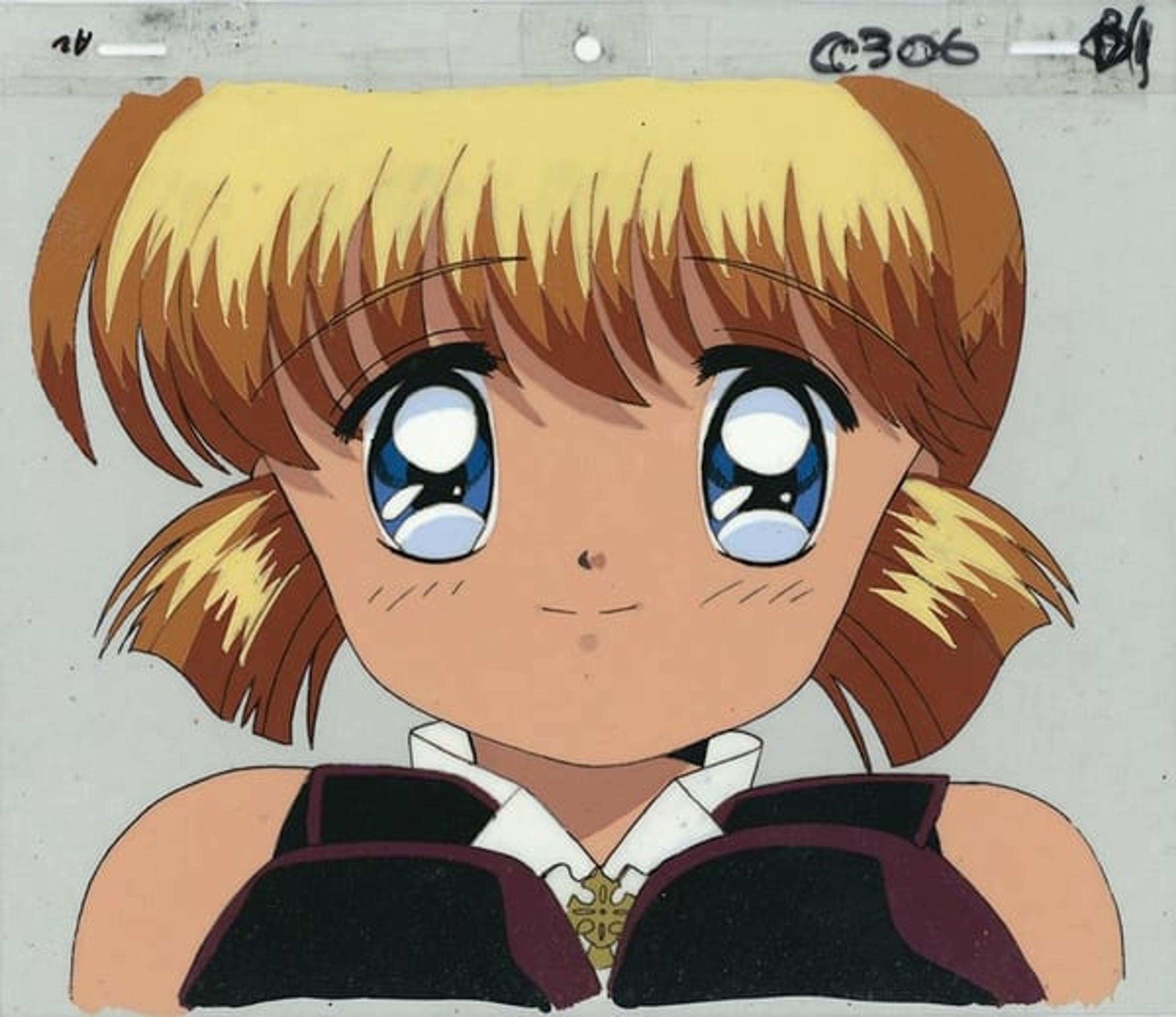 Mysterious Thief Saint Tail