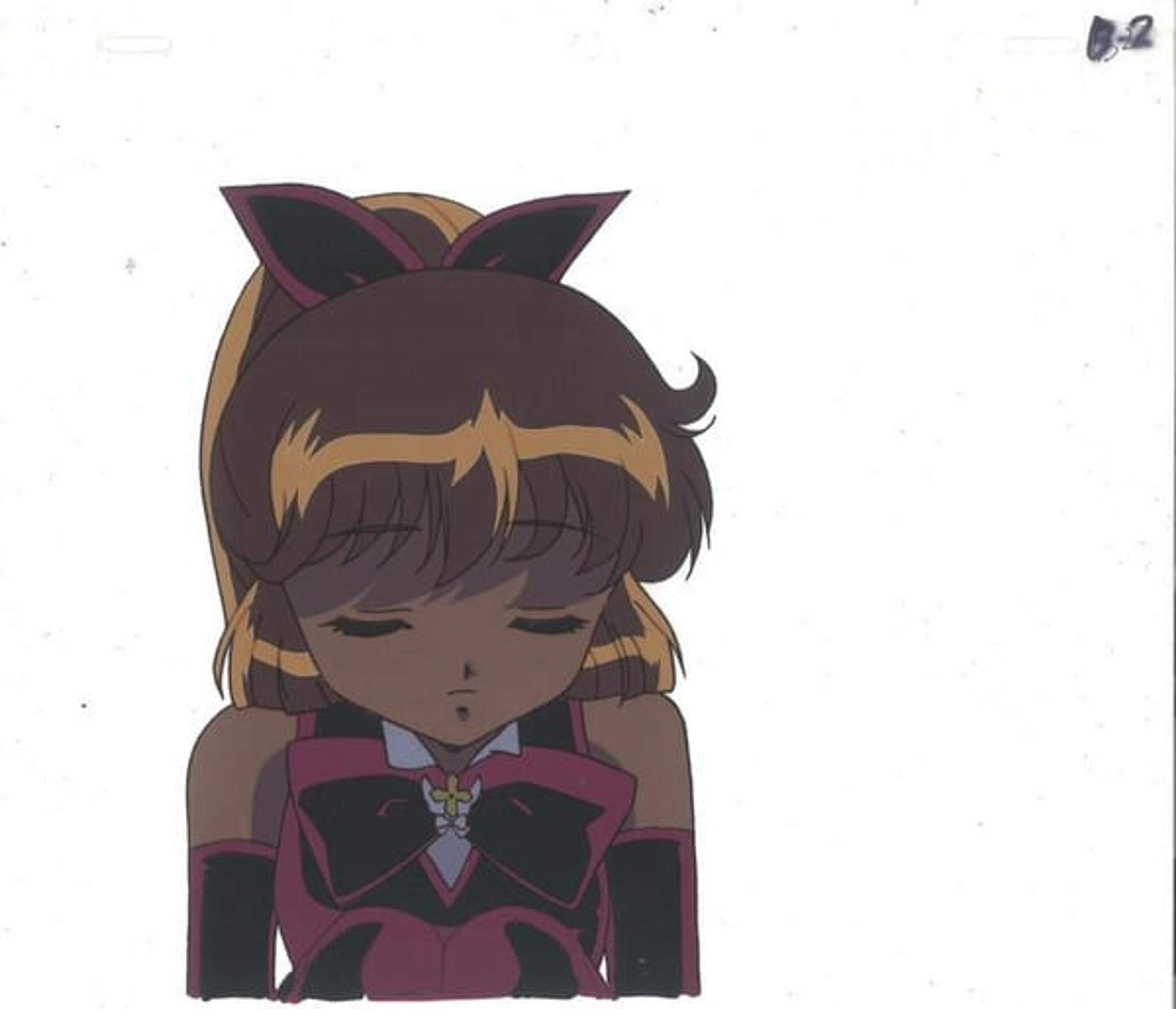 Mysterious Thief Saint Tail