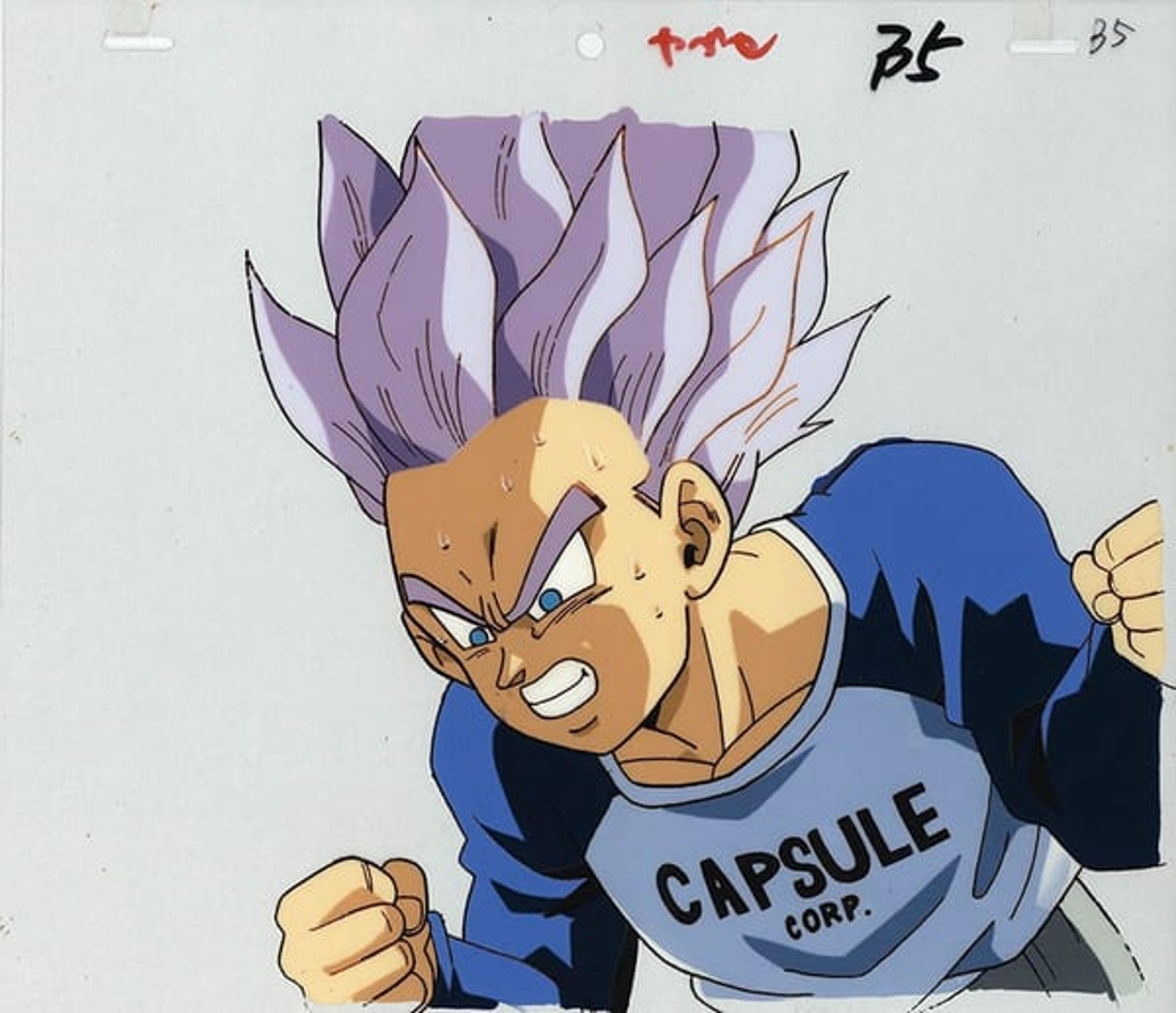 Dragon Ball Z: The History of Trunks