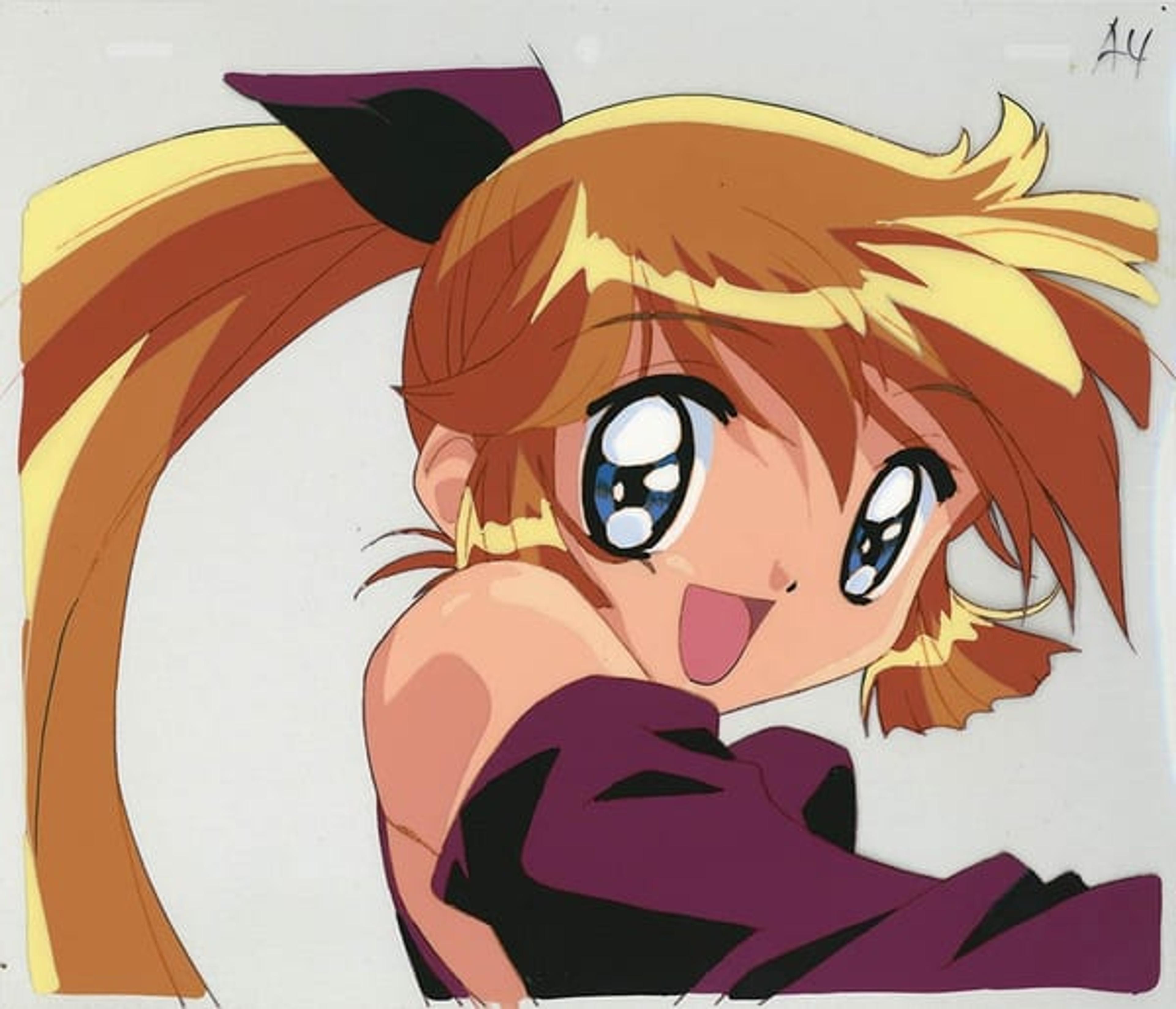 Mysterious Thief Saint Tail
